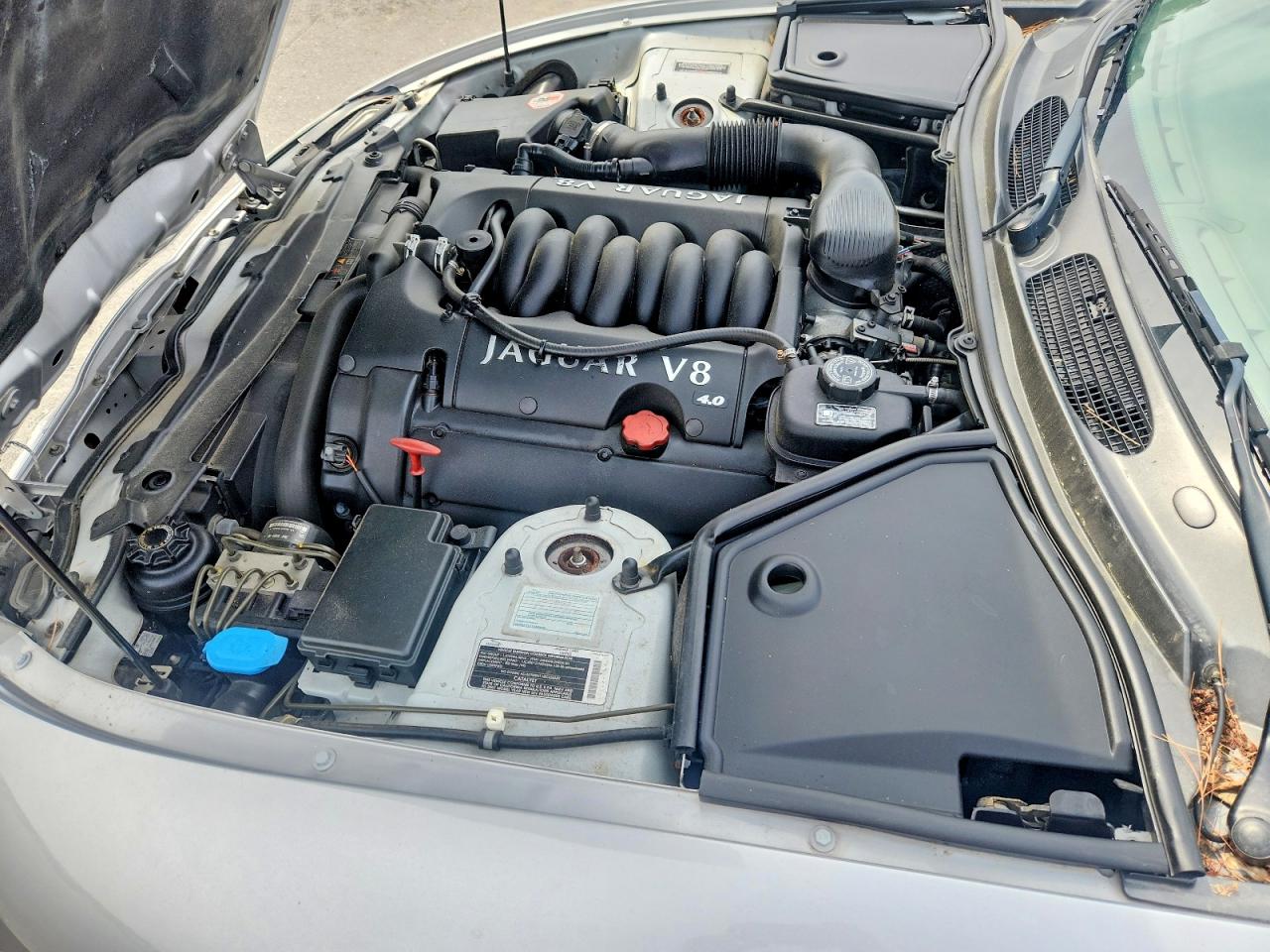 2001 Jaguar Xk8 Silver vin: SAJDA42C41NA19401