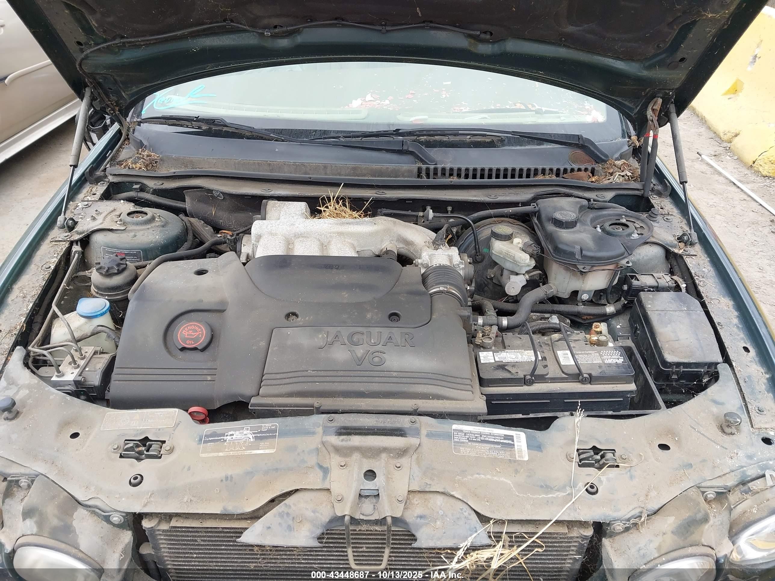 2002 Jaguar X-type 2.5l Green vin: SAJEA51D42XC85124
