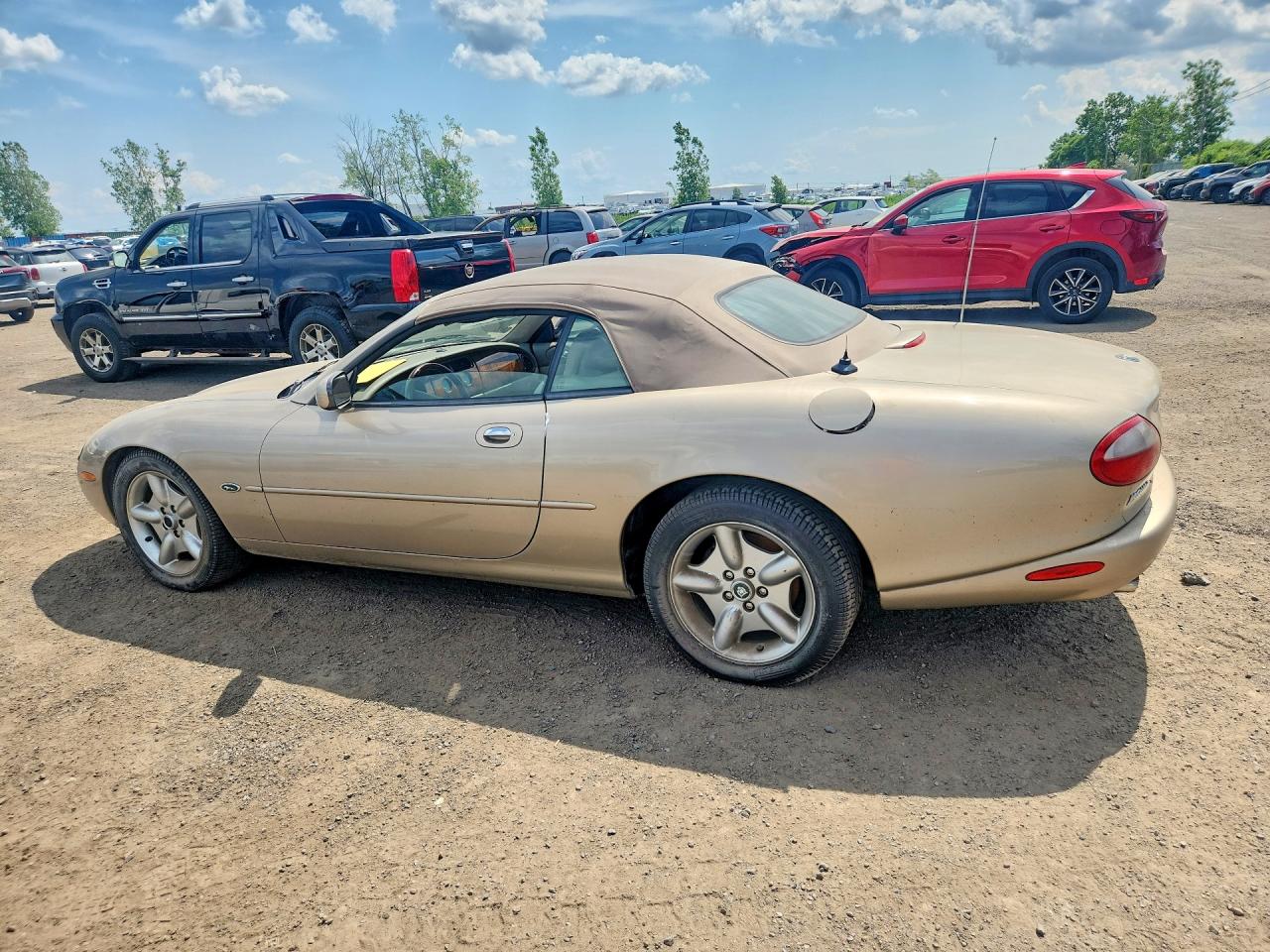 1998 Jaguar Xk8 Gold vin: SAJGN2244WC025813