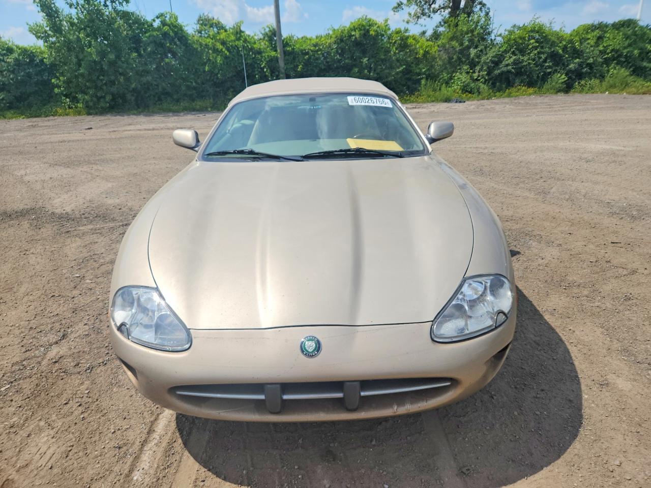 1998 Jaguar Xk8 Gold vin: SAJGN2244WC025813
