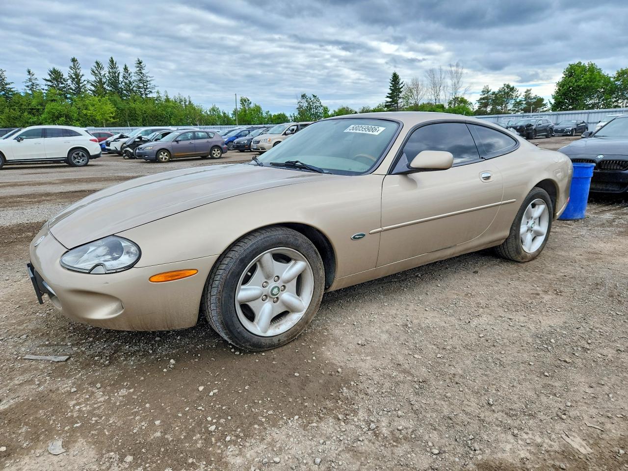 1998 Jaguar Xk8 Золотой vin: SAJGN5247WC022275