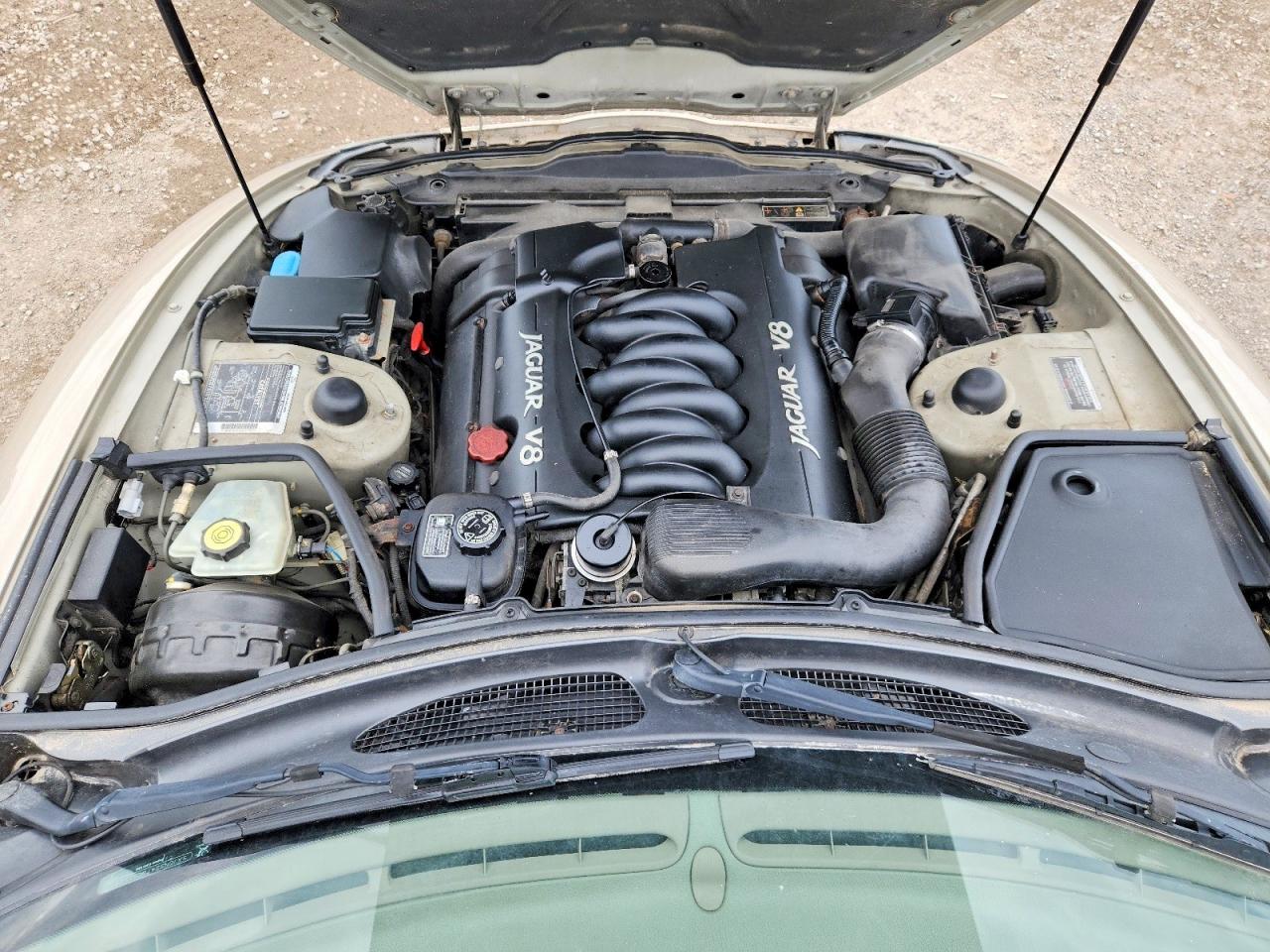 1998 Jaguar Xk8 Gold vin: SAJGN5247WC022275