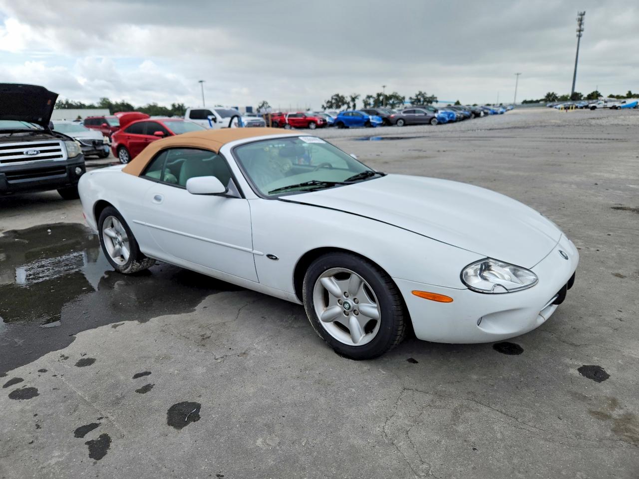 1999 Jaguar Xk8 White vin: SAJGX2042XC042723