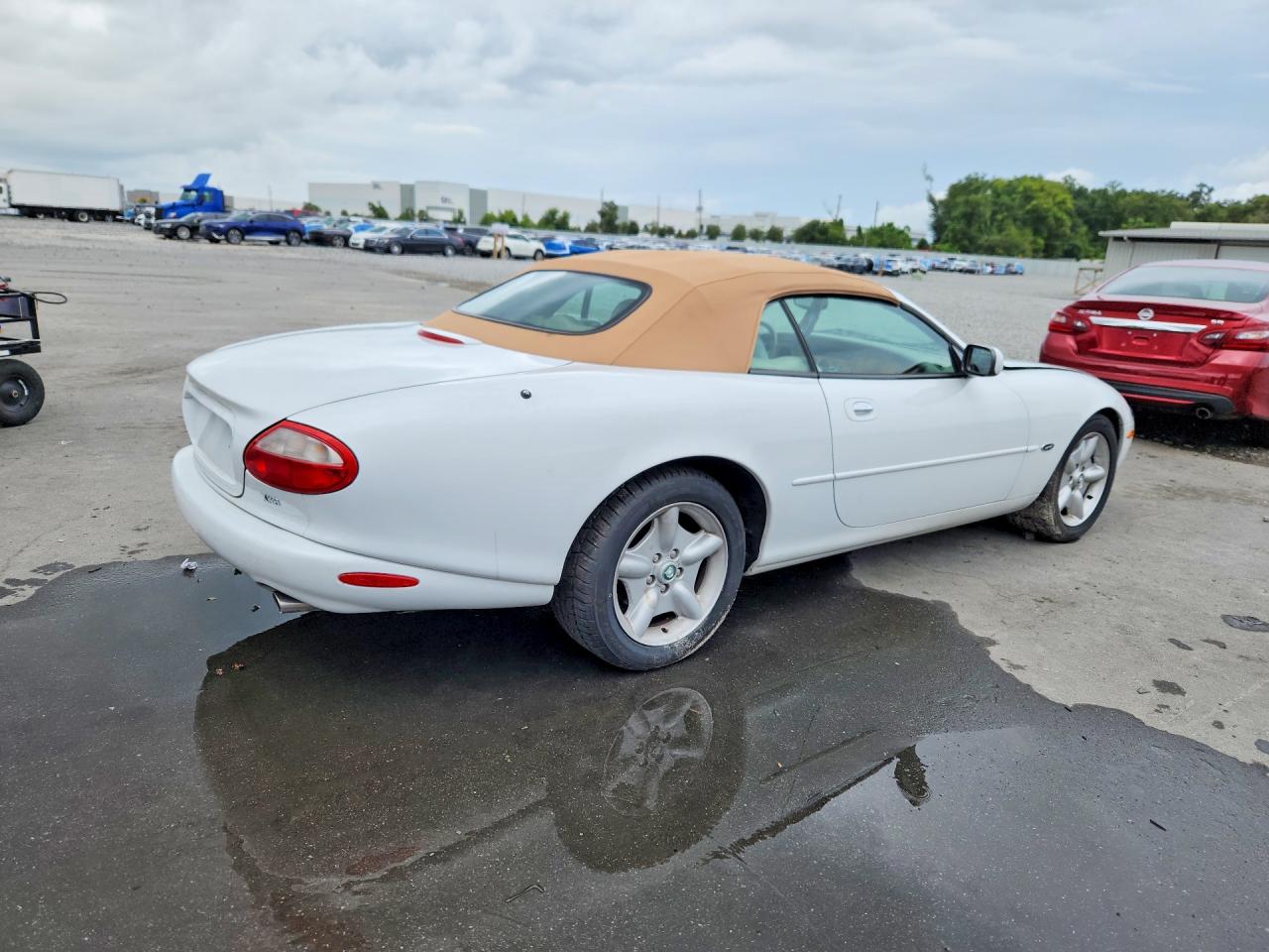 1999 Jaguar Xk8 White vin: SAJGX2042XC042723