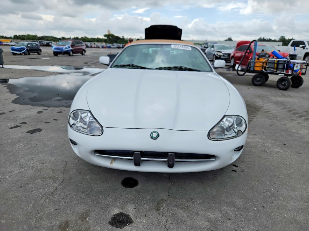 1999 Jaguar Xk8 White vin: SAJGX2042XC042723
