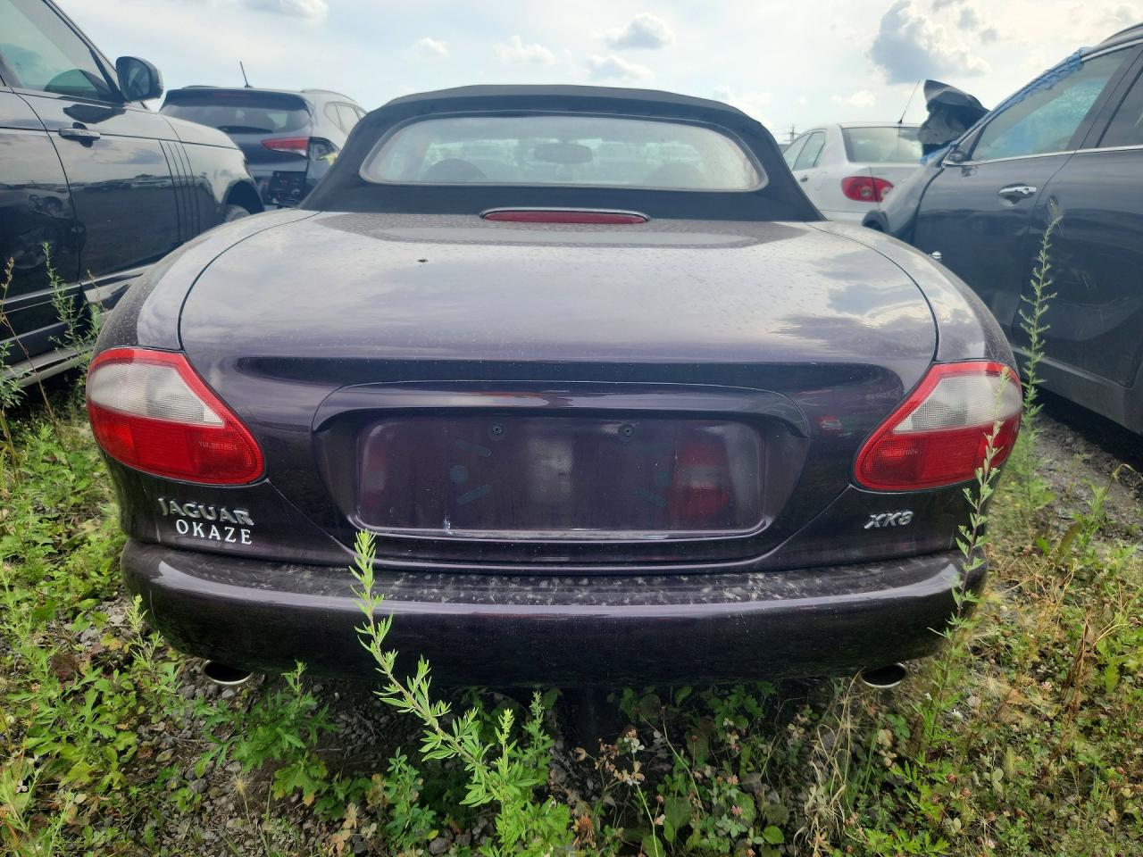 1999 Jaguar Xk8 Purple vin: SAJGX2043XC033125
