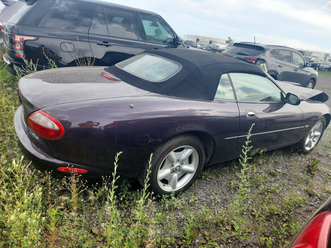 1999 Jaguar Xk8 Purple vin: SAJGX2043XC033125