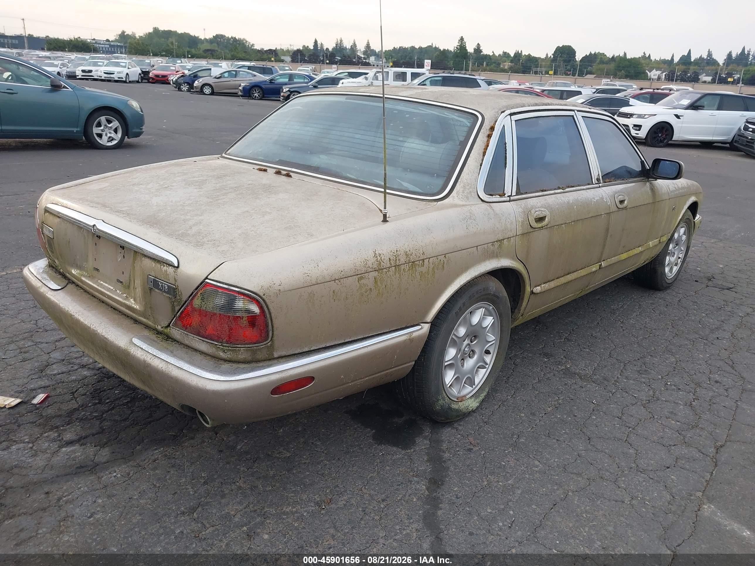 1999 Jaguar Xj8   Gold vin: SAJHD1041XC874058