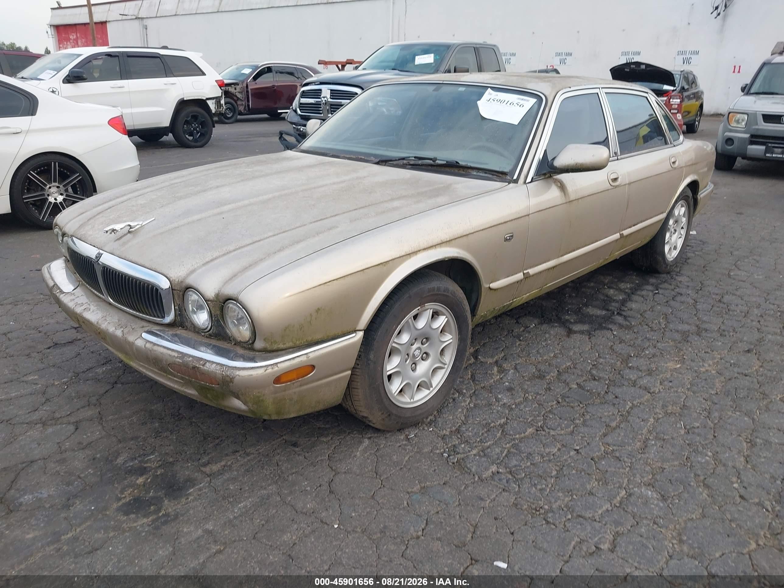 1999 Jaguar Xj8   Gold vin: SAJHD1041XC874058