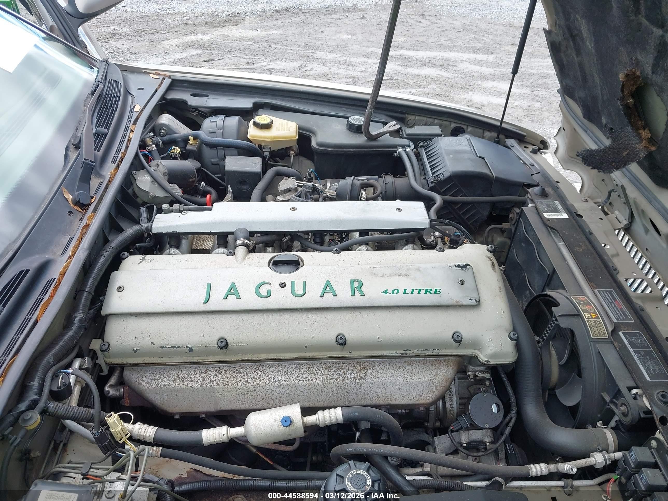 1996 Jaguar Xj6   Gold vin: SAJHX1241TC774556