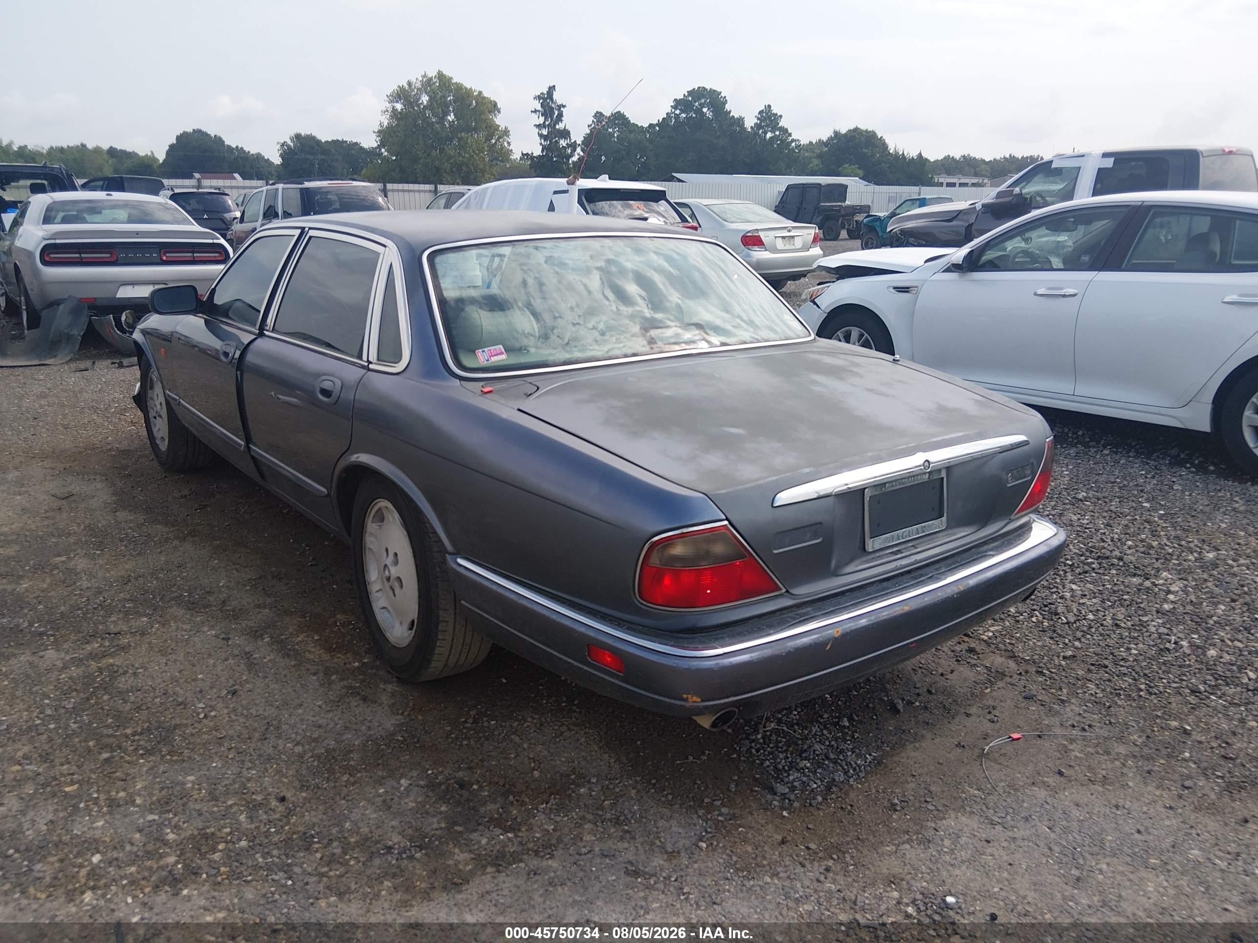 1996 Jaguar Xj6   Gray vin: SAJHX1248TC773419