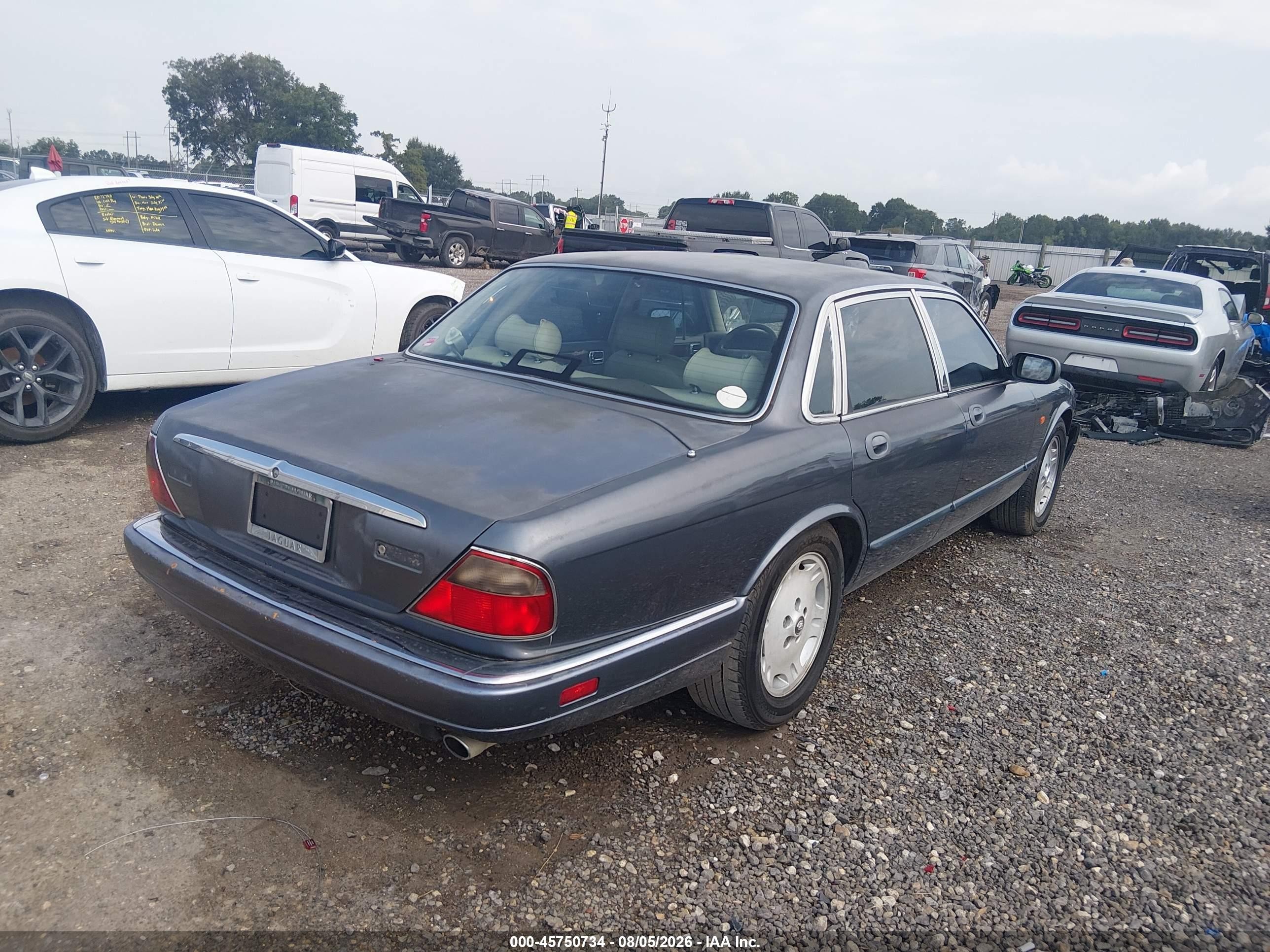 1996 Jaguar Xj6   Gray vin: SAJHX1248TC773419