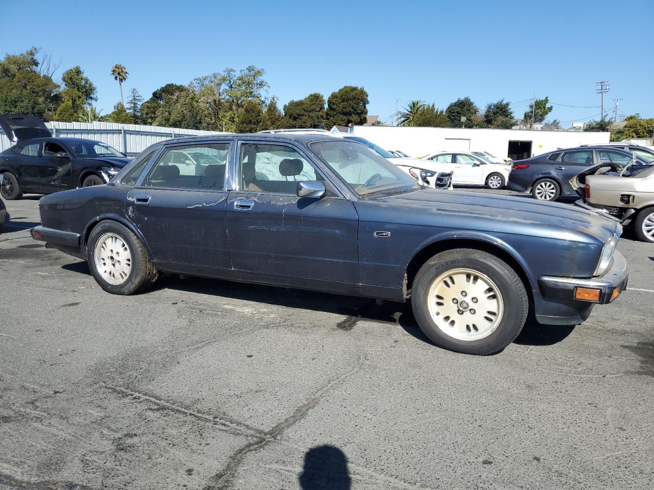 1994 Jaguar Xj6 Blue vin: SAJHX1744RC694427