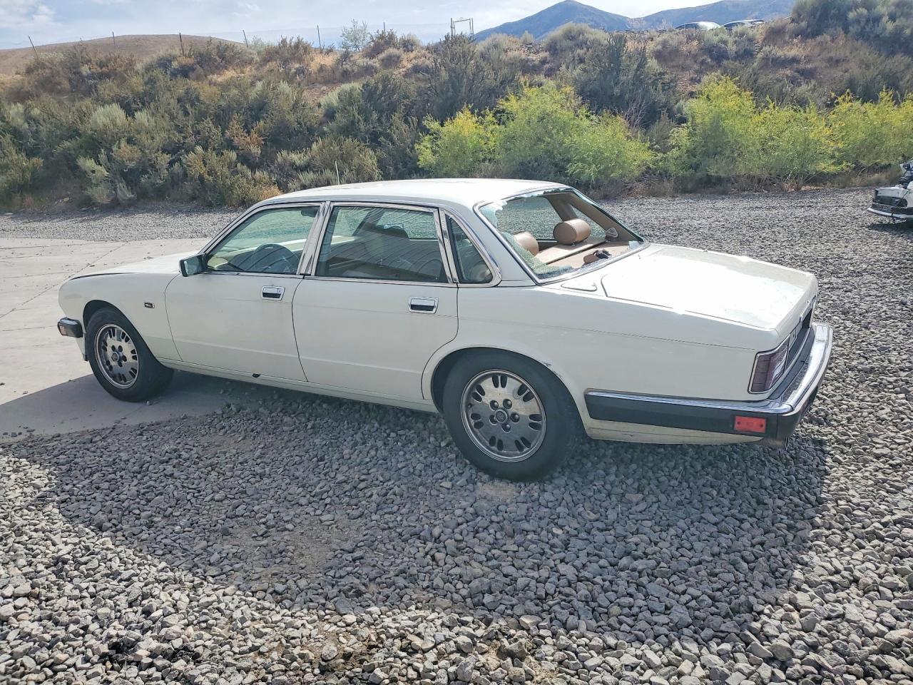 1994 Jaguar Xj6 Cream vin: SAJHX1748RC693667