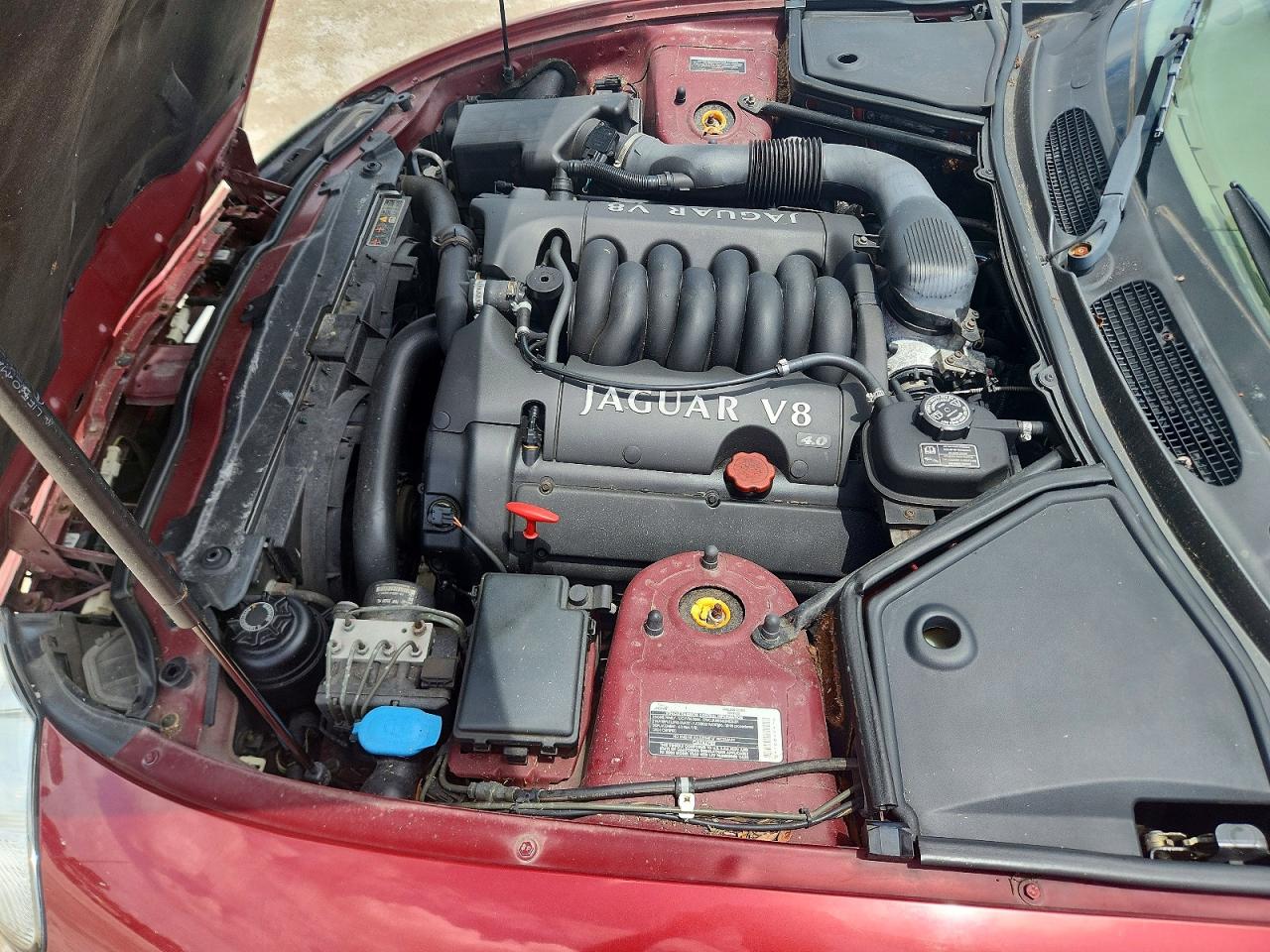 2000 Jaguar Xk8 Burgundy vin: SAJJA42C6YNA01804