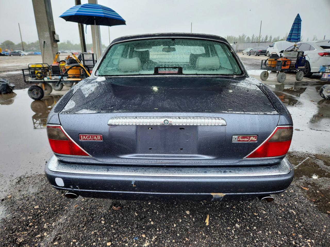 1996 Jaguar Vandenplas Gray vin: SAJKN6743TC764743