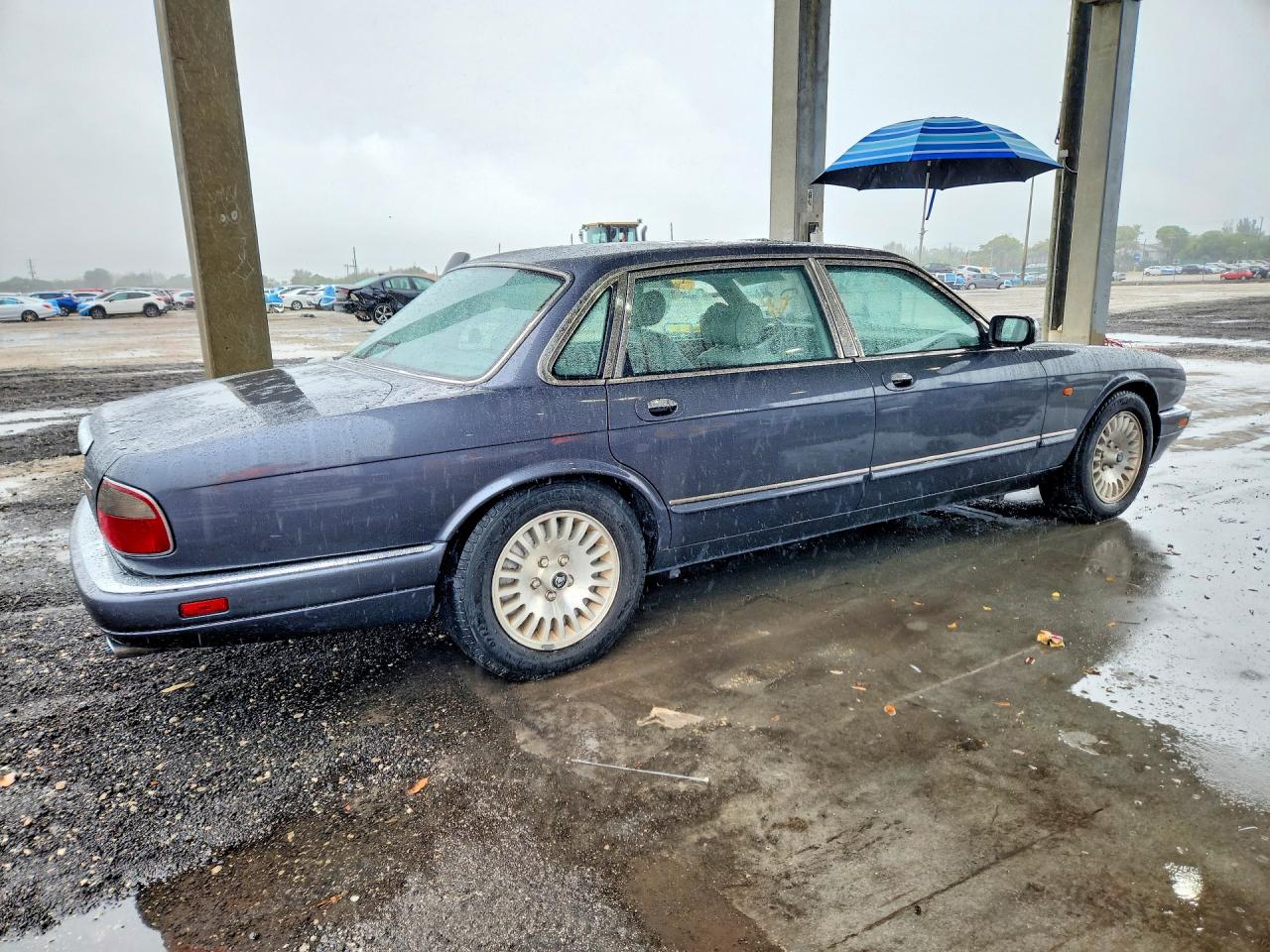 1996 Jaguar Vandenplas Gray vin: SAJKN6743TC764743