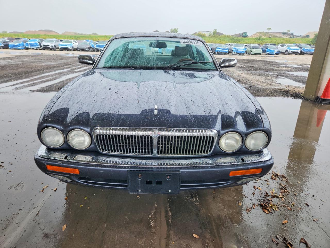 1996 Jaguar Vandenplas Gray vin: SAJKN6743TC764743
