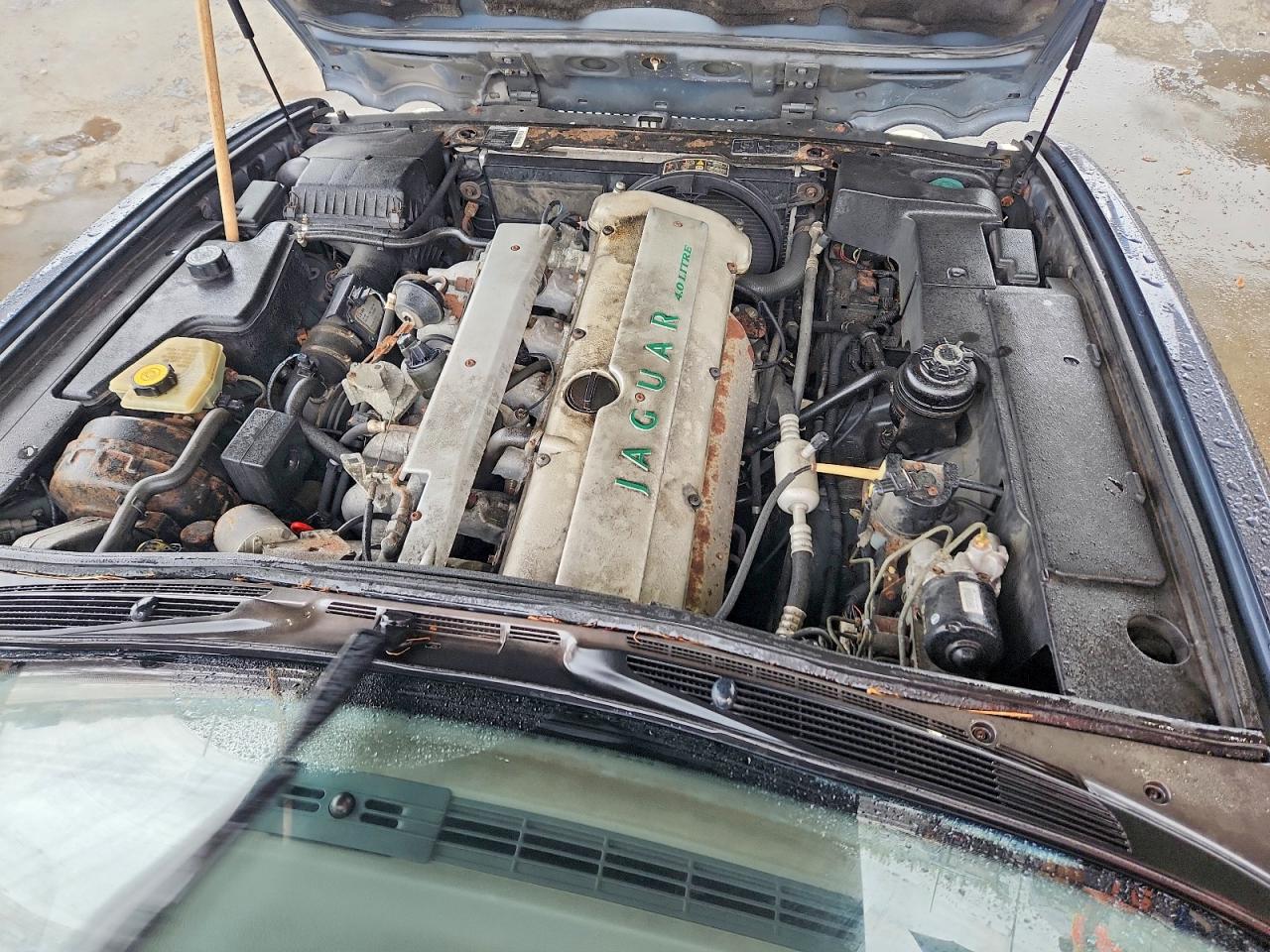 1996 Jaguar Vandenplas Gray vin: SAJKN6743TC764743