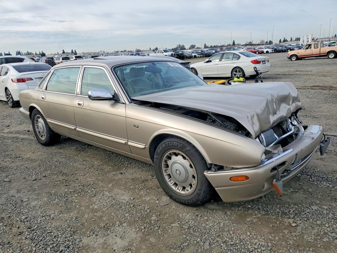 1998 Jaguar Vandenplas Majestic Gold vin: SAJKX6240WC816545