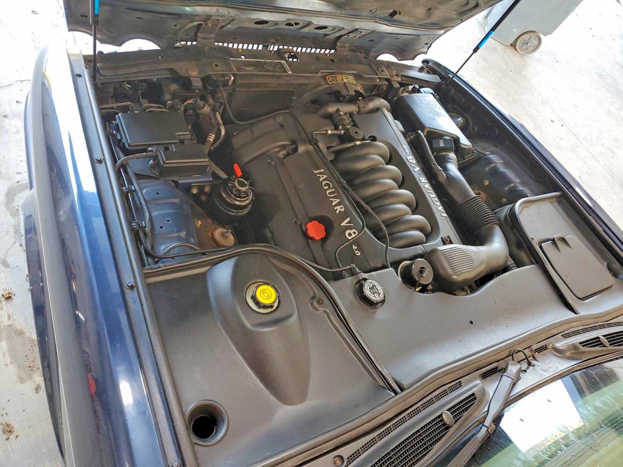 1998 Jaguar Vandenplas Blue vin: SAJKX624XWC821039
