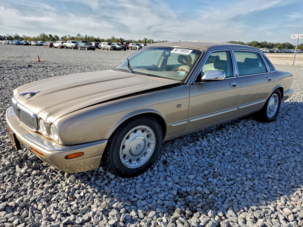 1998 Jaguar Vandenplas Tan vin: SAJKX624XWC828301