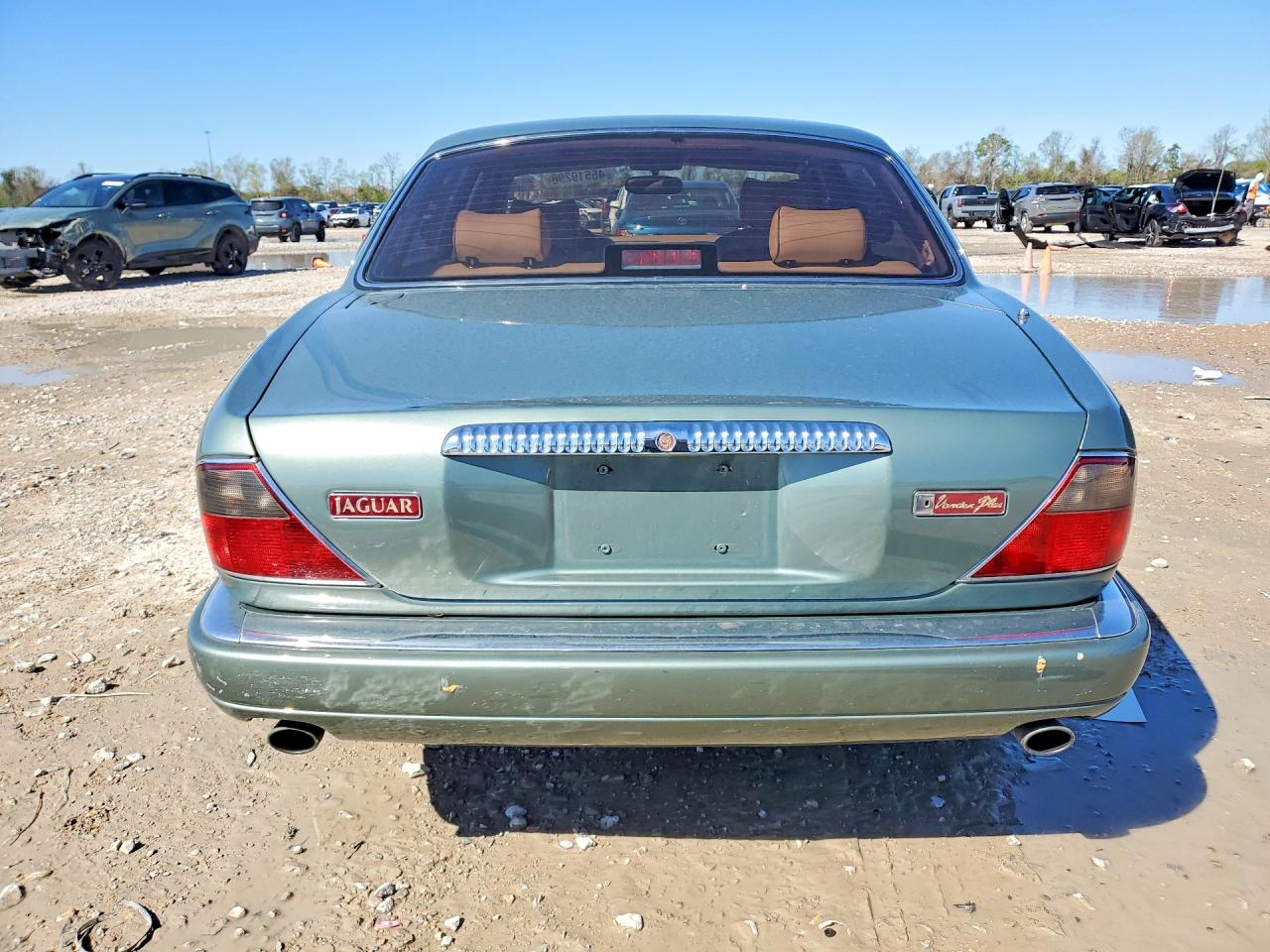 1996 Jaguar Vandenplas Зеленый vin: SAJKX6742TC769765