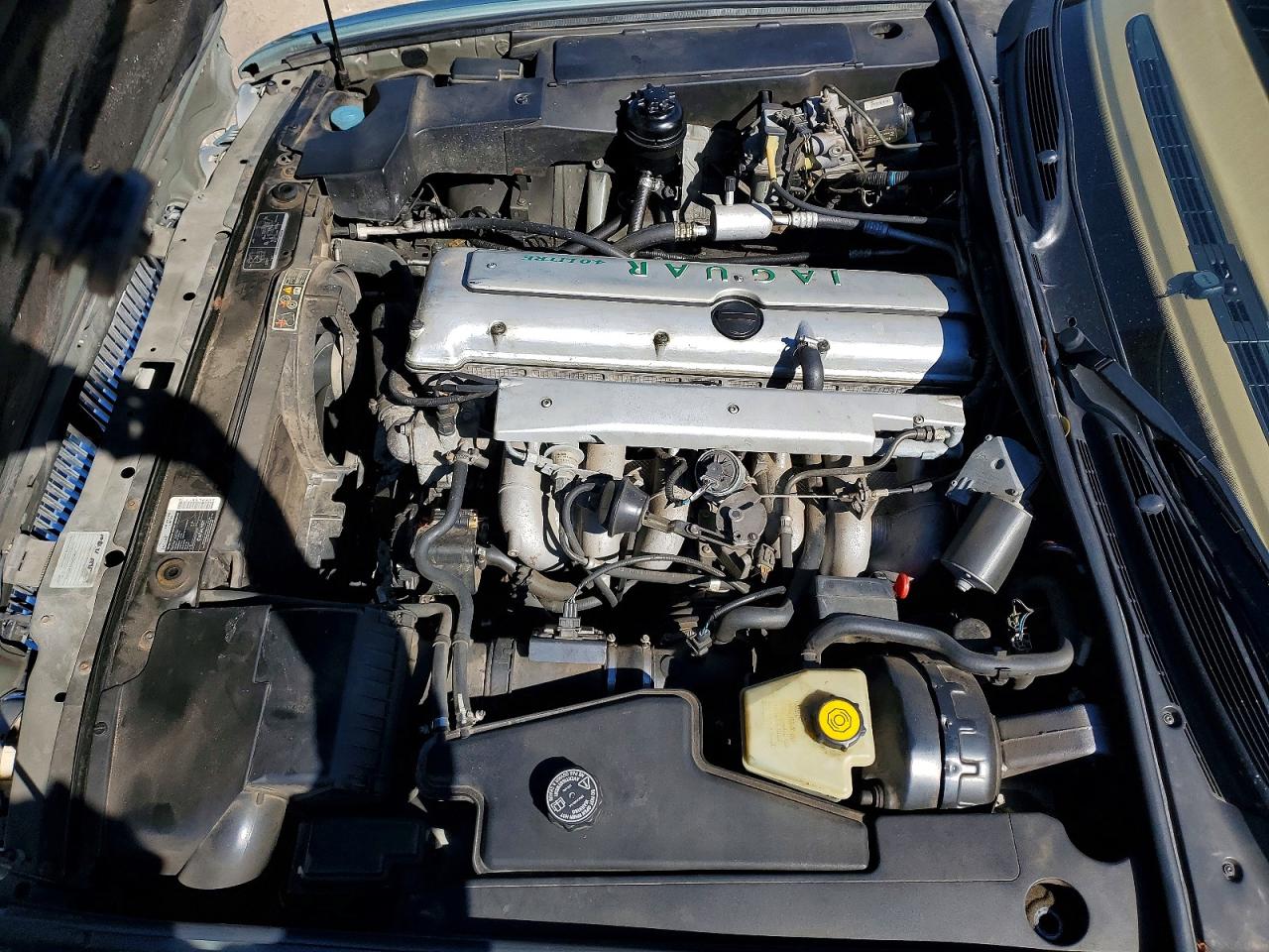 1996 Jaguar Vandenplas Зеленый vin: SAJKX6742TC769765