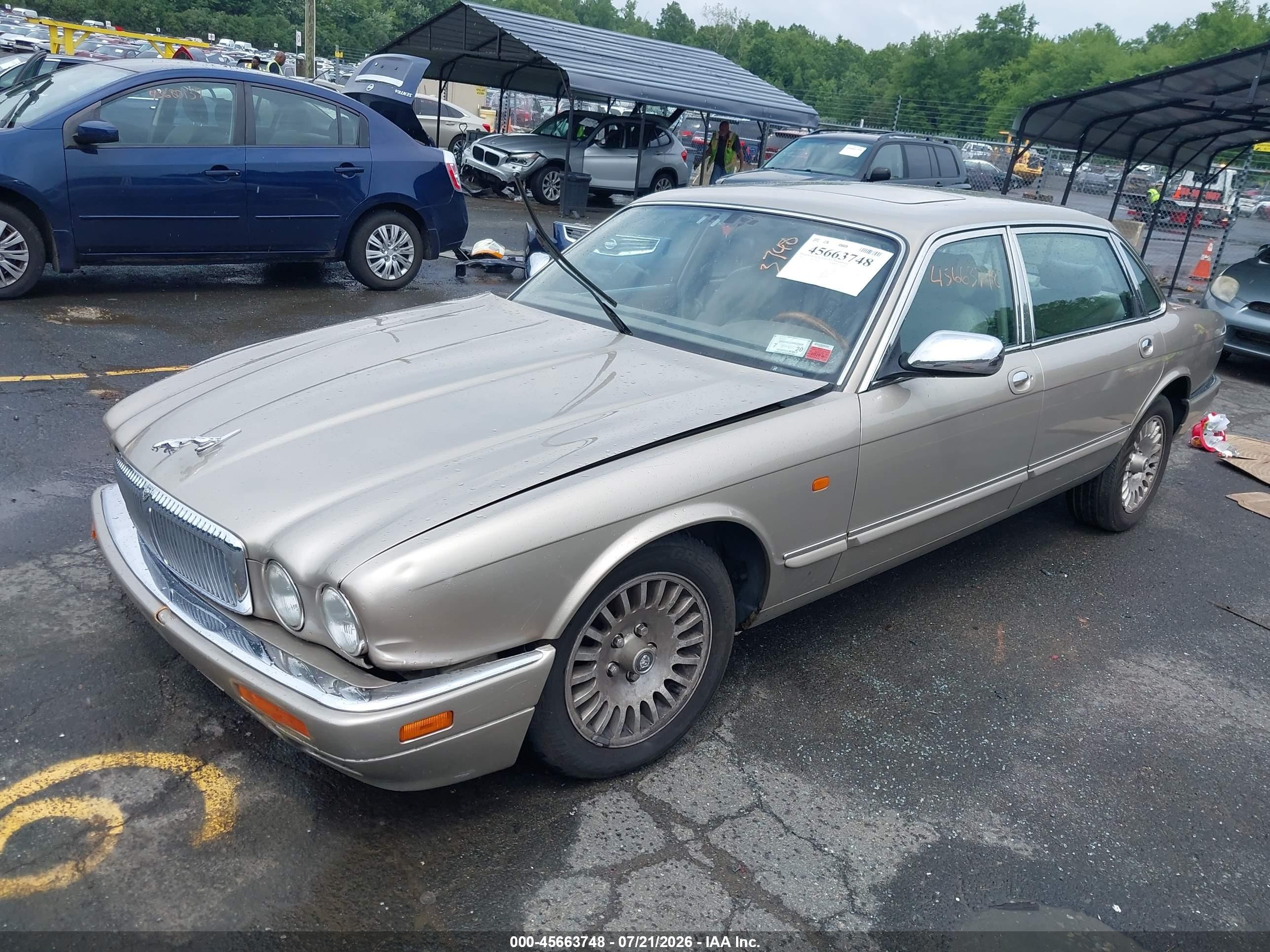 1996 Jaguar Vandenplas   Золотой vin: SAJKX6744TC771730