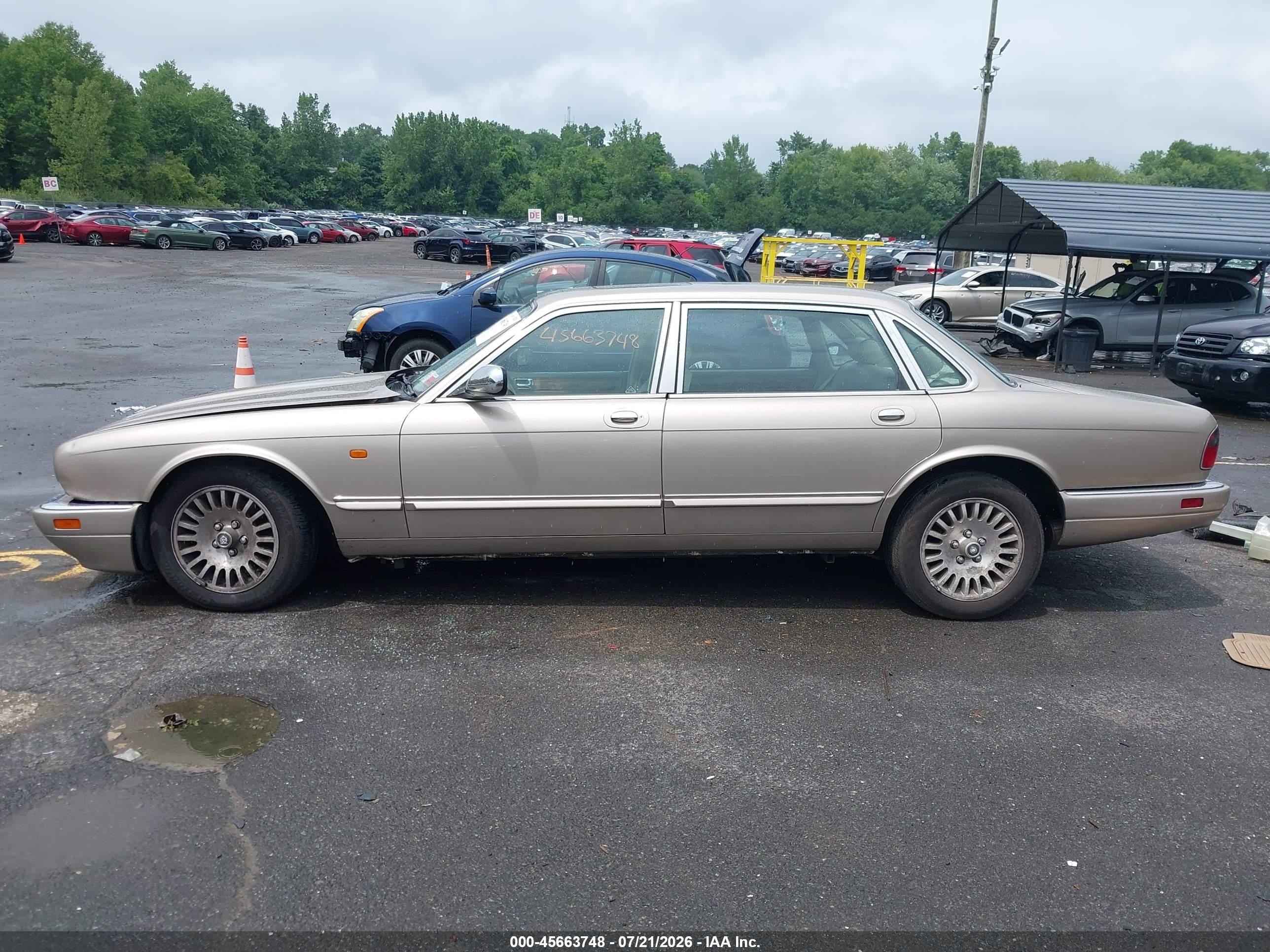 1996 Jaguar Vandenplas   Золотой vin: SAJKX6744TC771730