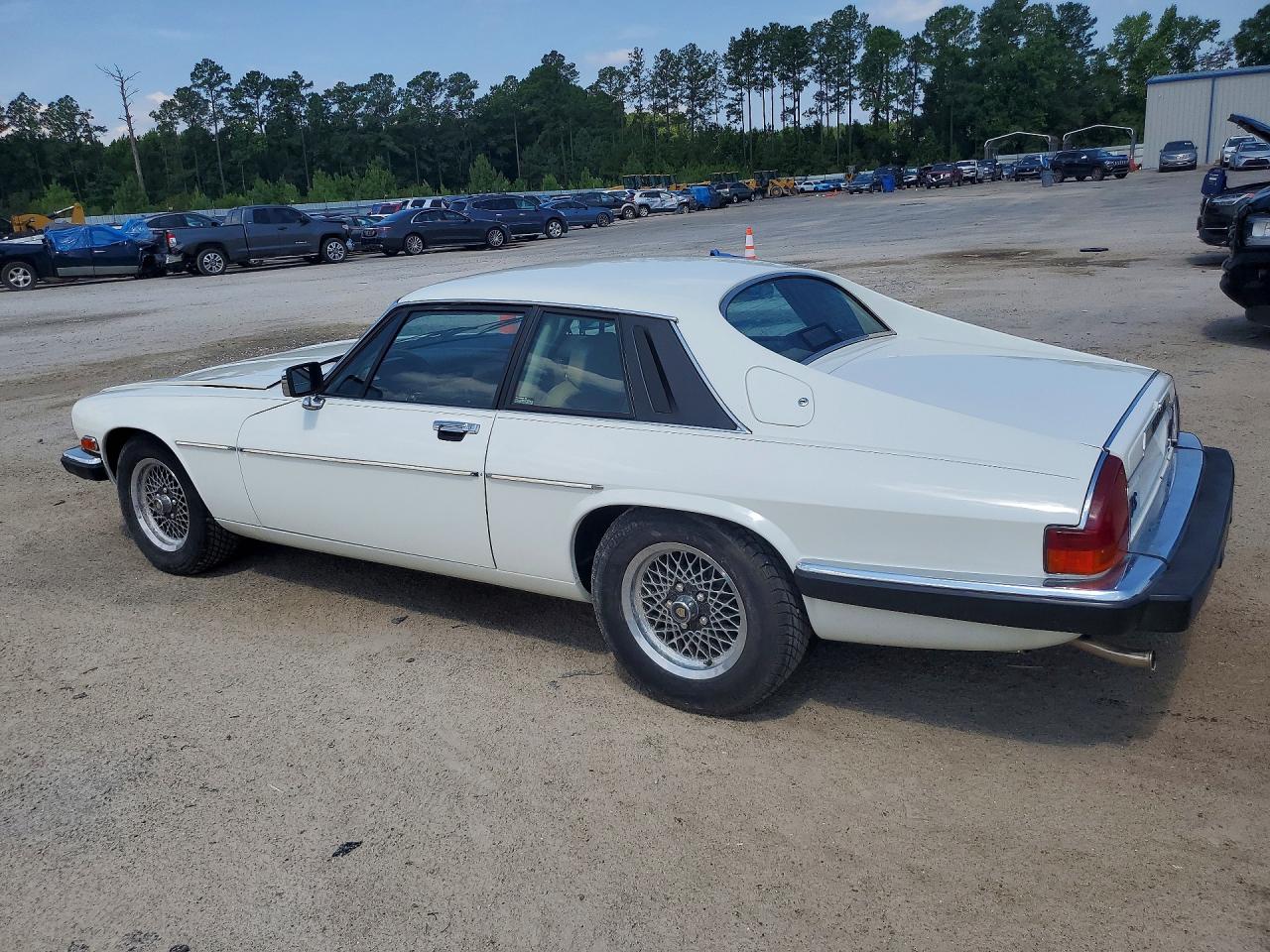 1989 Jaguar Xjs White vin: SAJNA5840KC156954
