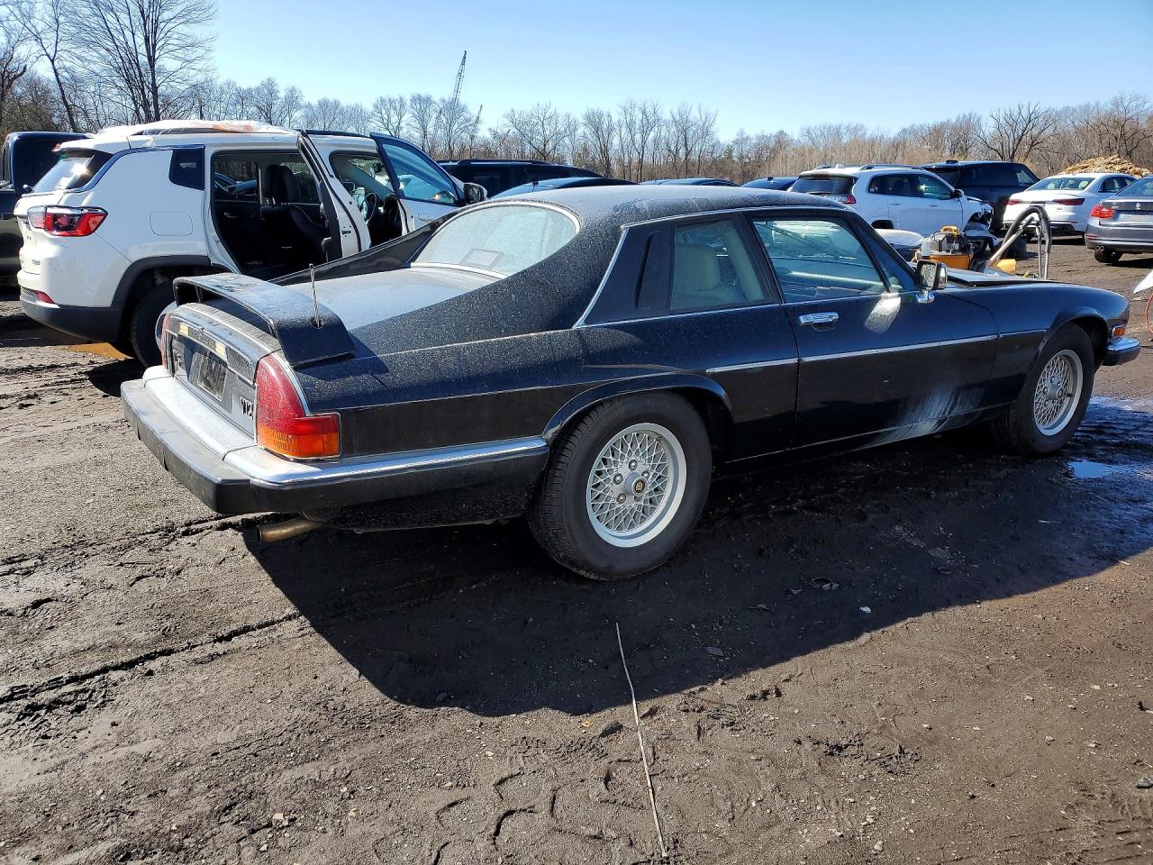 1989 Jaguar Xjs Black vin: SAJNA5843KC150372