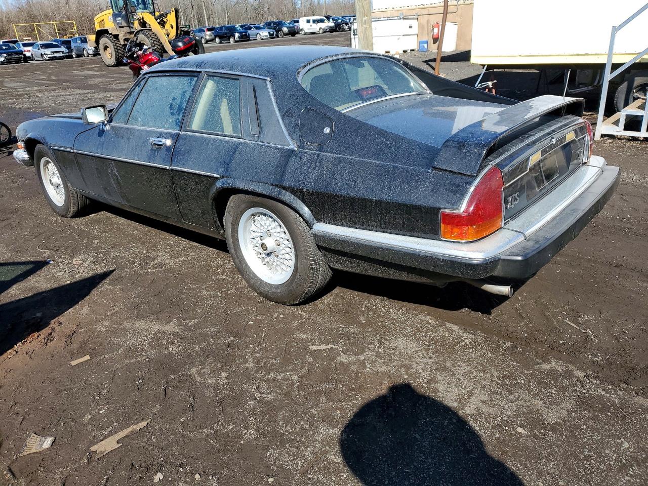 1989 Jaguar Xjs Black vin: SAJNA5843KC150372