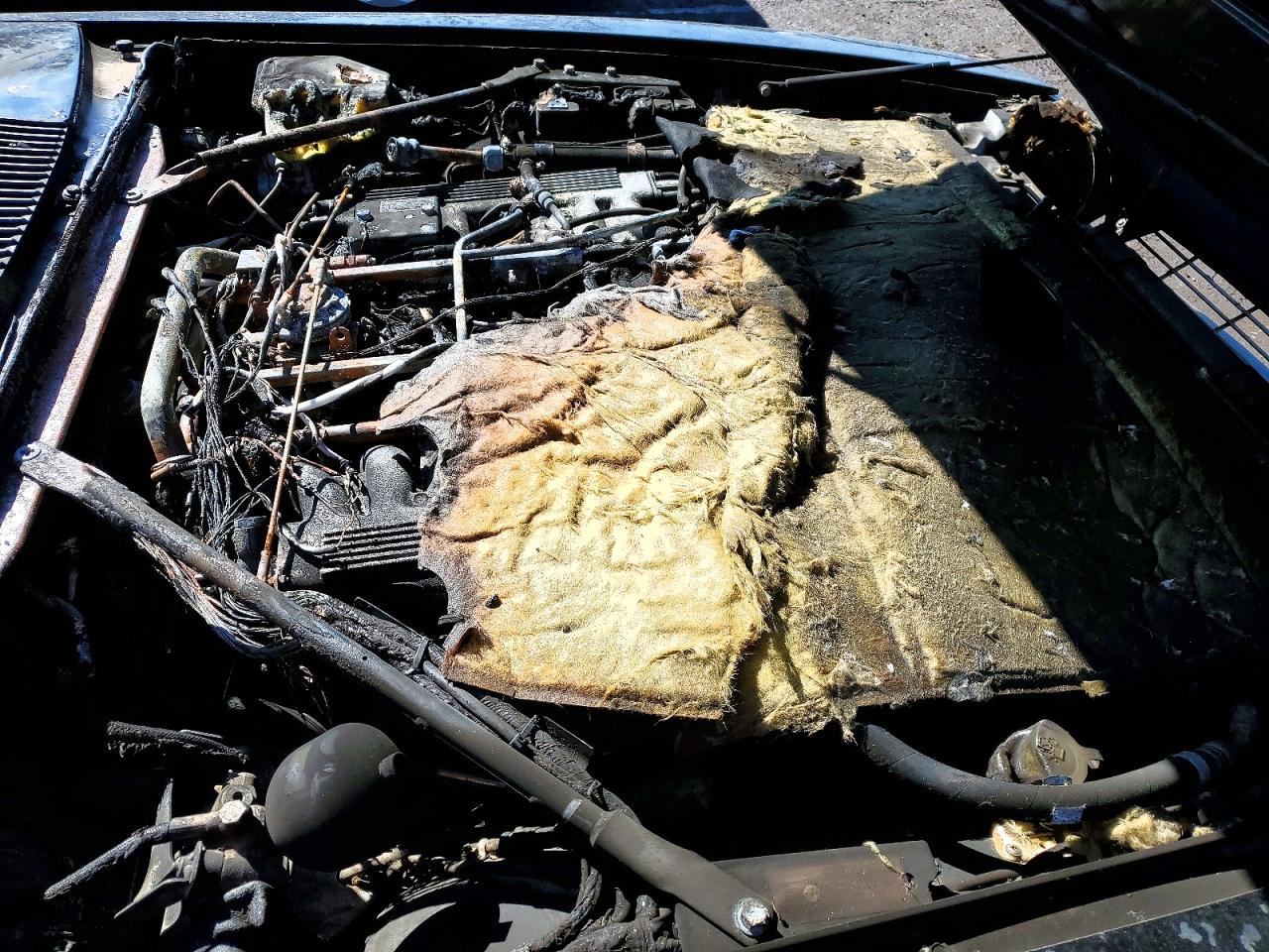 1989 Jaguar Xjs Black vin: SAJNA5843KC150372