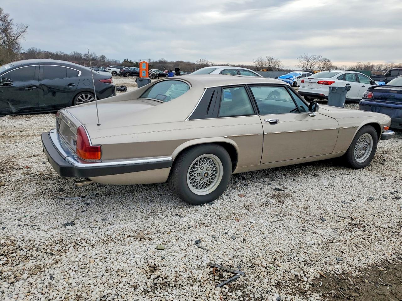 1989 Jaguar Xjs Gold vin: SAJNA5844KC151966