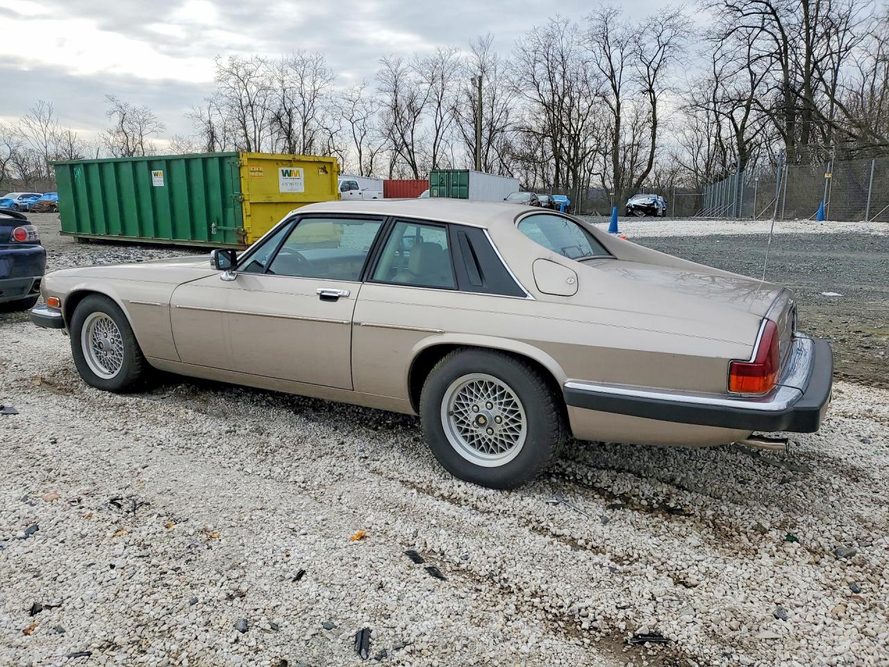 1989 Jaguar Xjs Gold vin: SAJNA5844KC151966