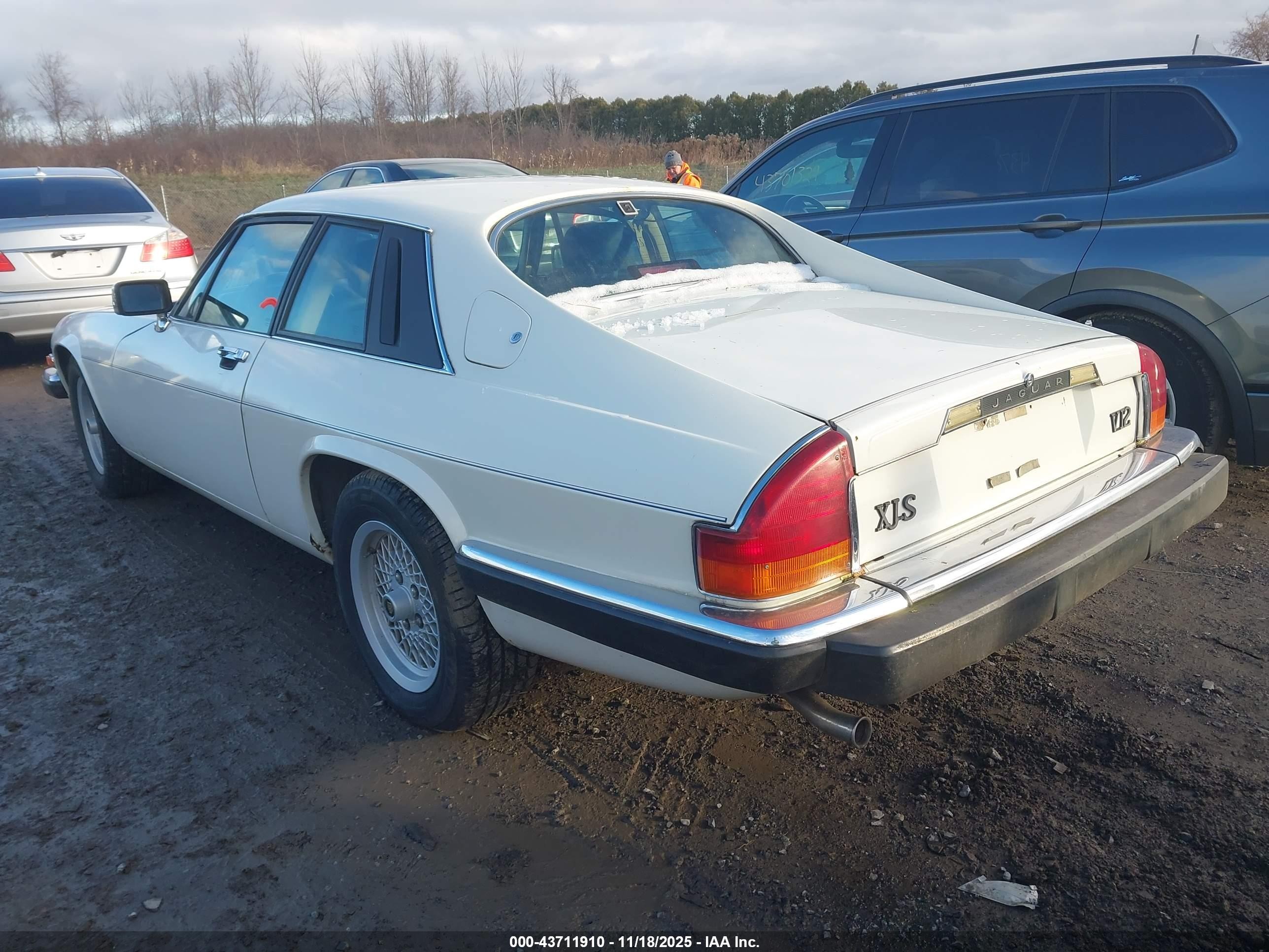 1989 Jaguar Xjs   White vin: SAJNA5845KC150289