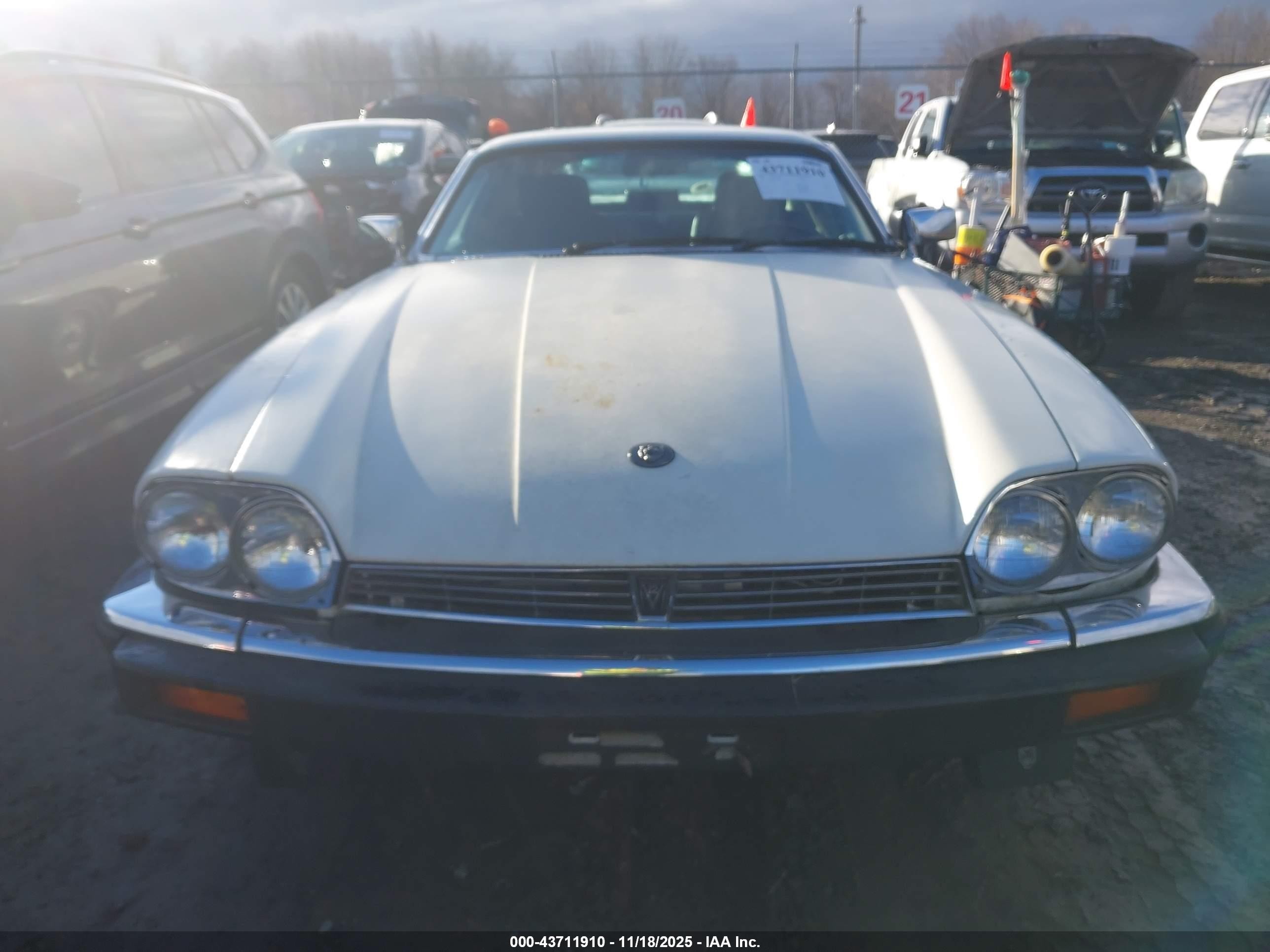 1989 Jaguar Xjs   White vin: SAJNA5845KC150289