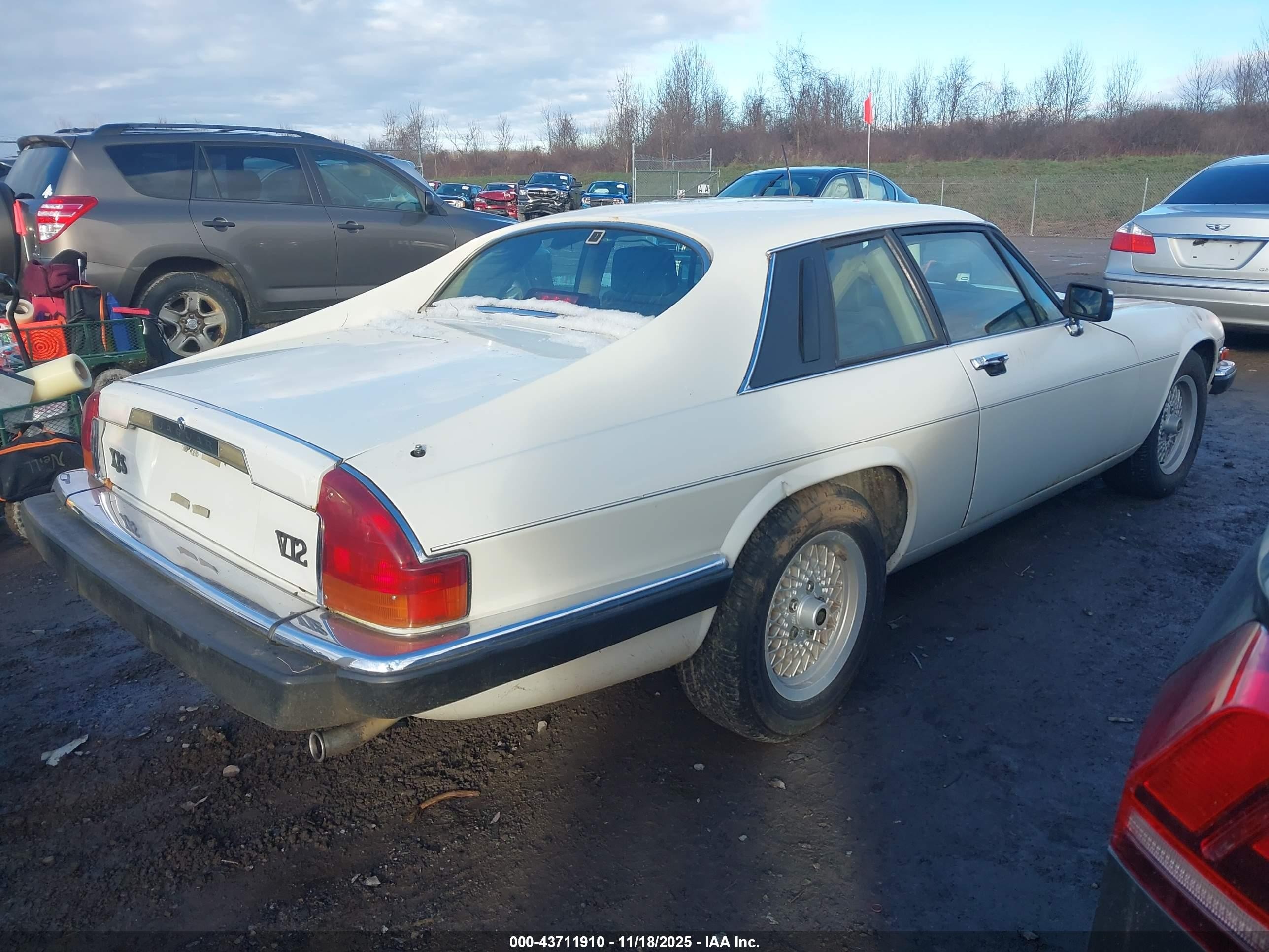 1989 Jaguar Xjs   White vin: SAJNA5845KC150289