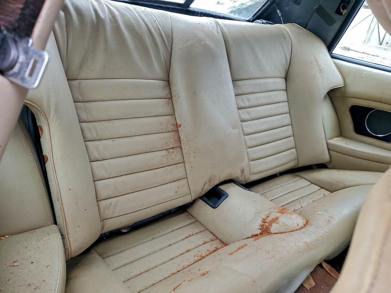 1988 Jaguar Xjs Black vin: SAJNA5847JC140751