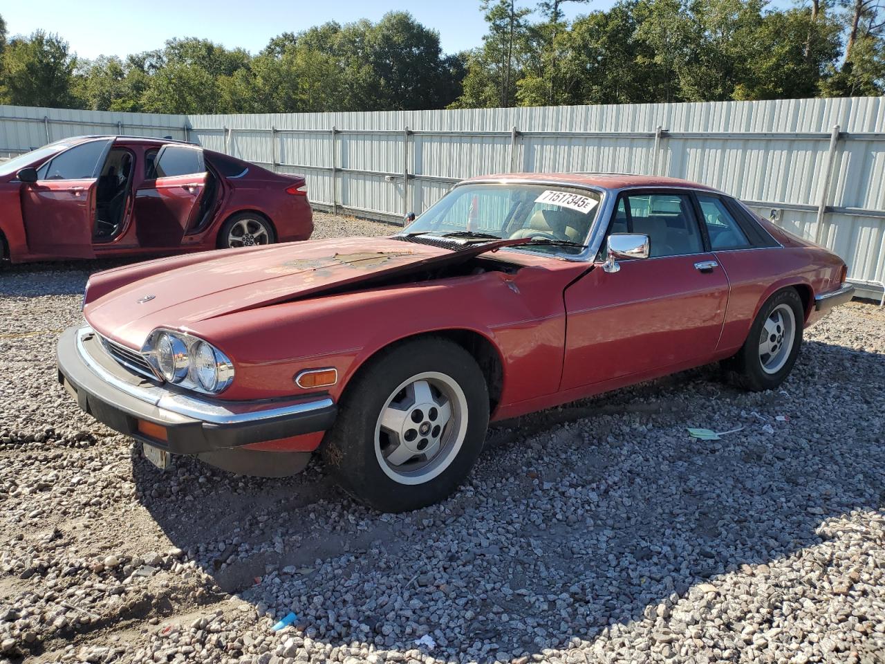 1988 Jaguar Xjs Red vin: SAJNA5848JC139303
