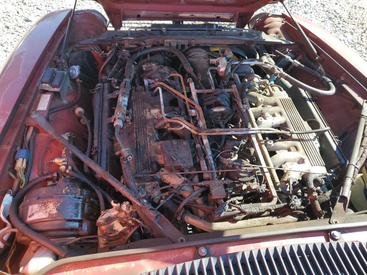 1988 Jaguar Xjs Red vin: SAJNA5848JC139303