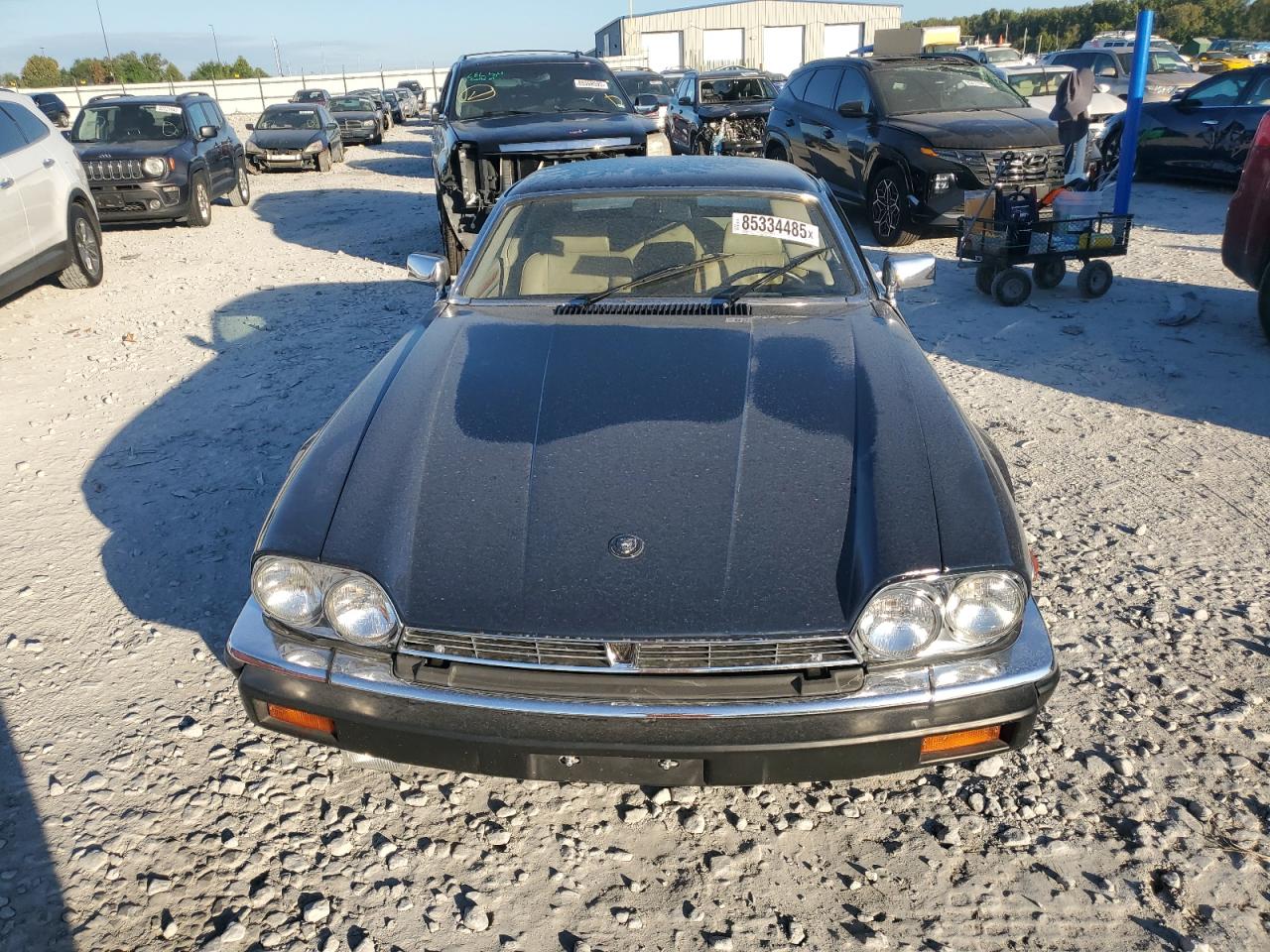 1988 Jaguar Xjs Green vin: SAJNA5848JC141973