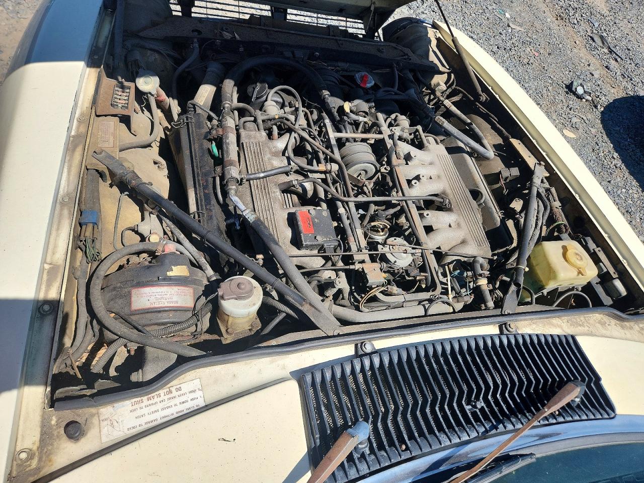 1987 Jaguar Xjsc He Cream vin: SAJNV3845HC137804
