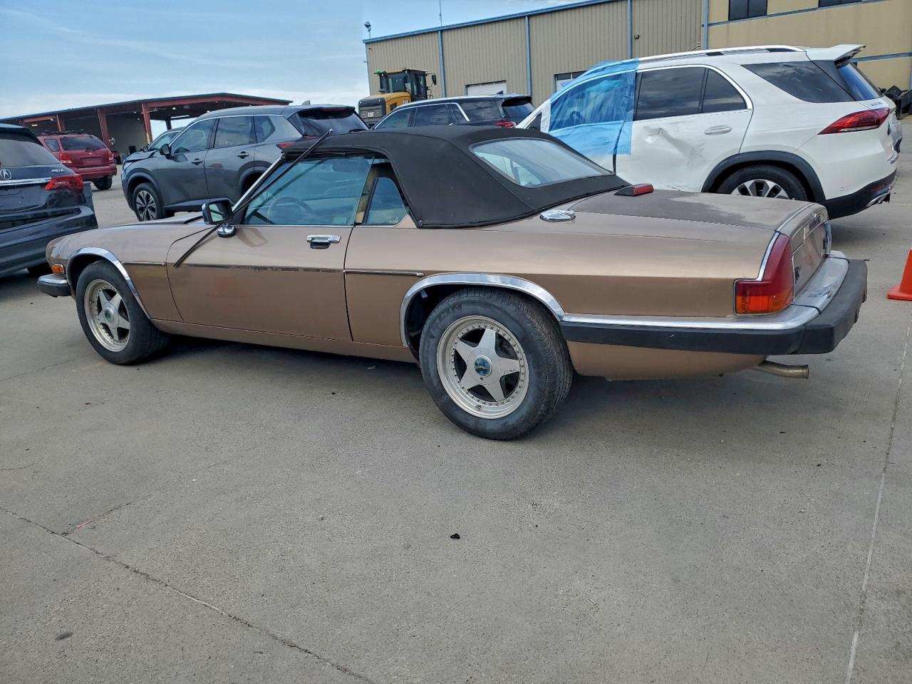 1989 Jaguar Xjs Желто-коричневый vin: SAJNV4842KC164469