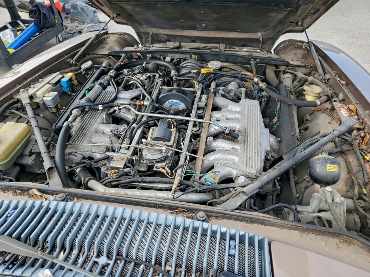 1989 Jaguar Xjs Желто-коричневый vin: SAJNV4842KC164469