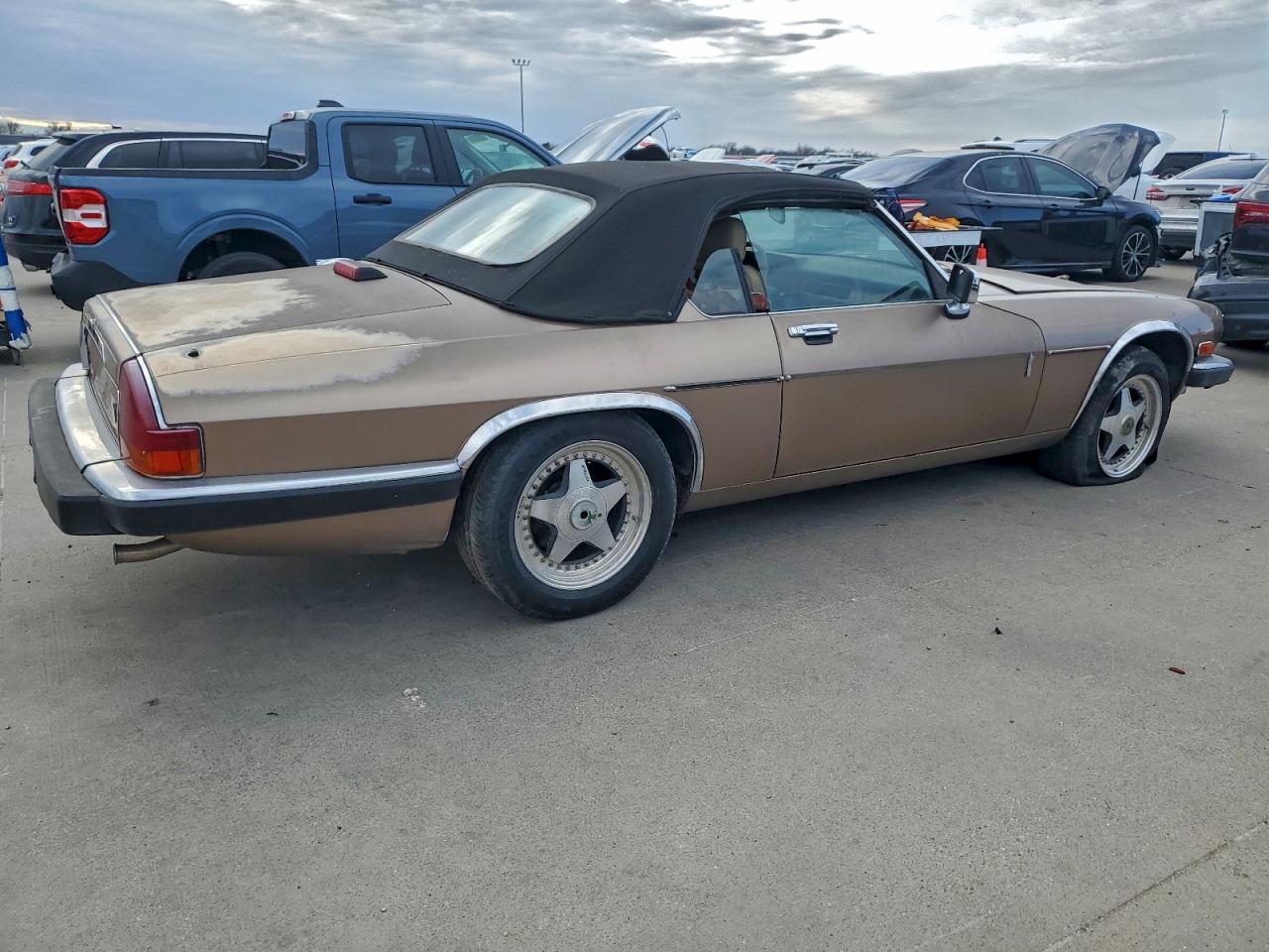 1989 Jaguar Xjs Желто-коричневый vin: SAJNV4842KC164469