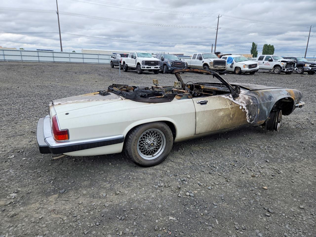 1989 Jaguar Xjs White vin: SAJNV4844KC152033