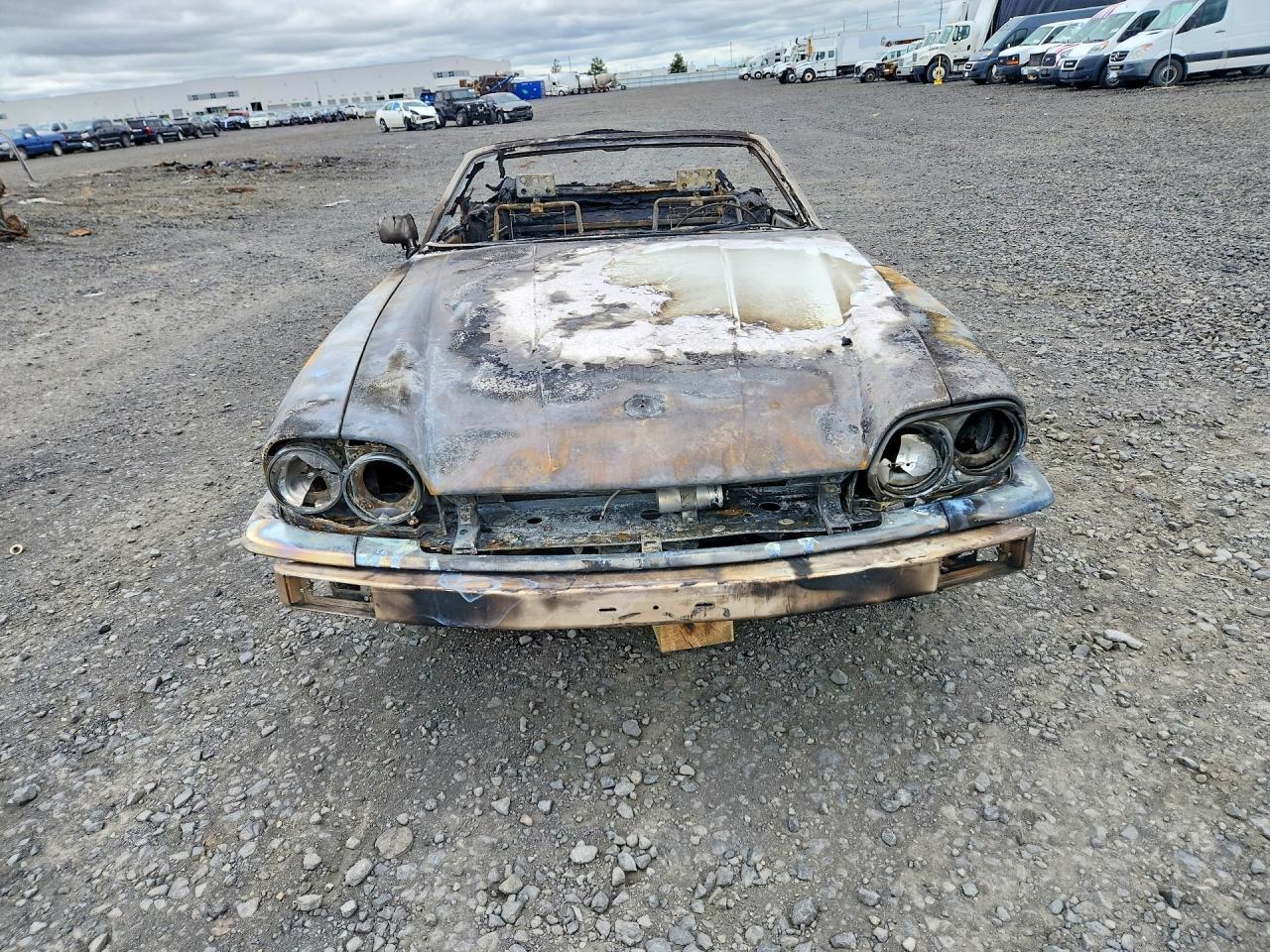1989 Jaguar Xjs White vin: SAJNV4844KC152033