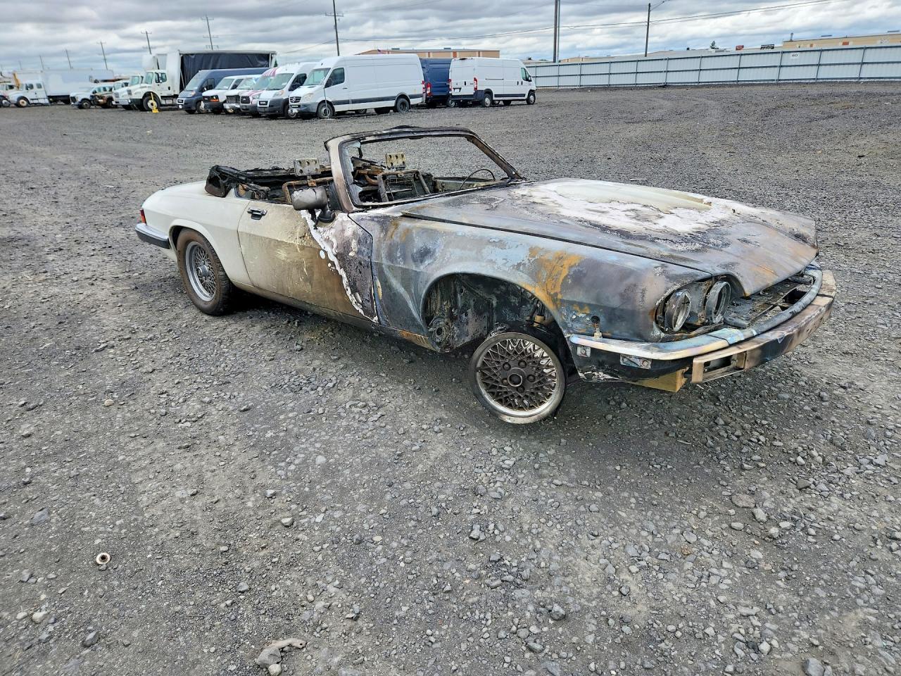 1989 Jaguar Xjs White vin: SAJNV4844KC152033
